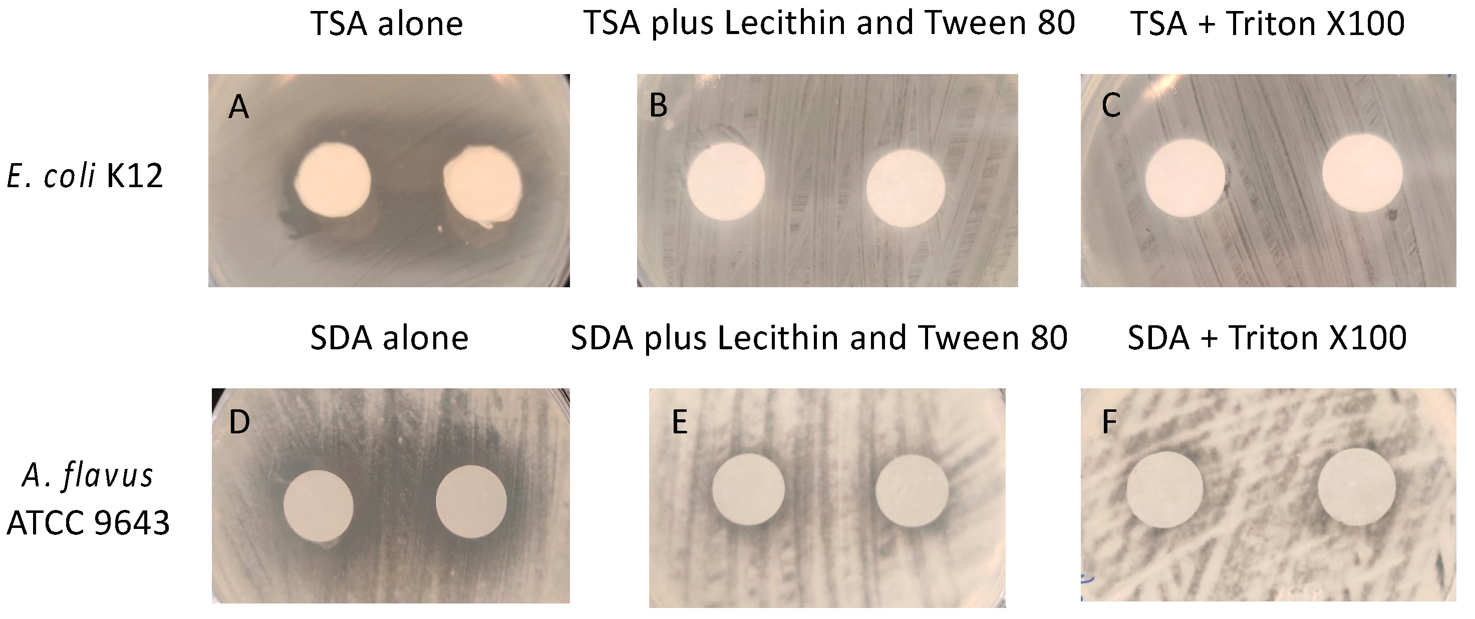 Antibiotics 11 00393 g002 550