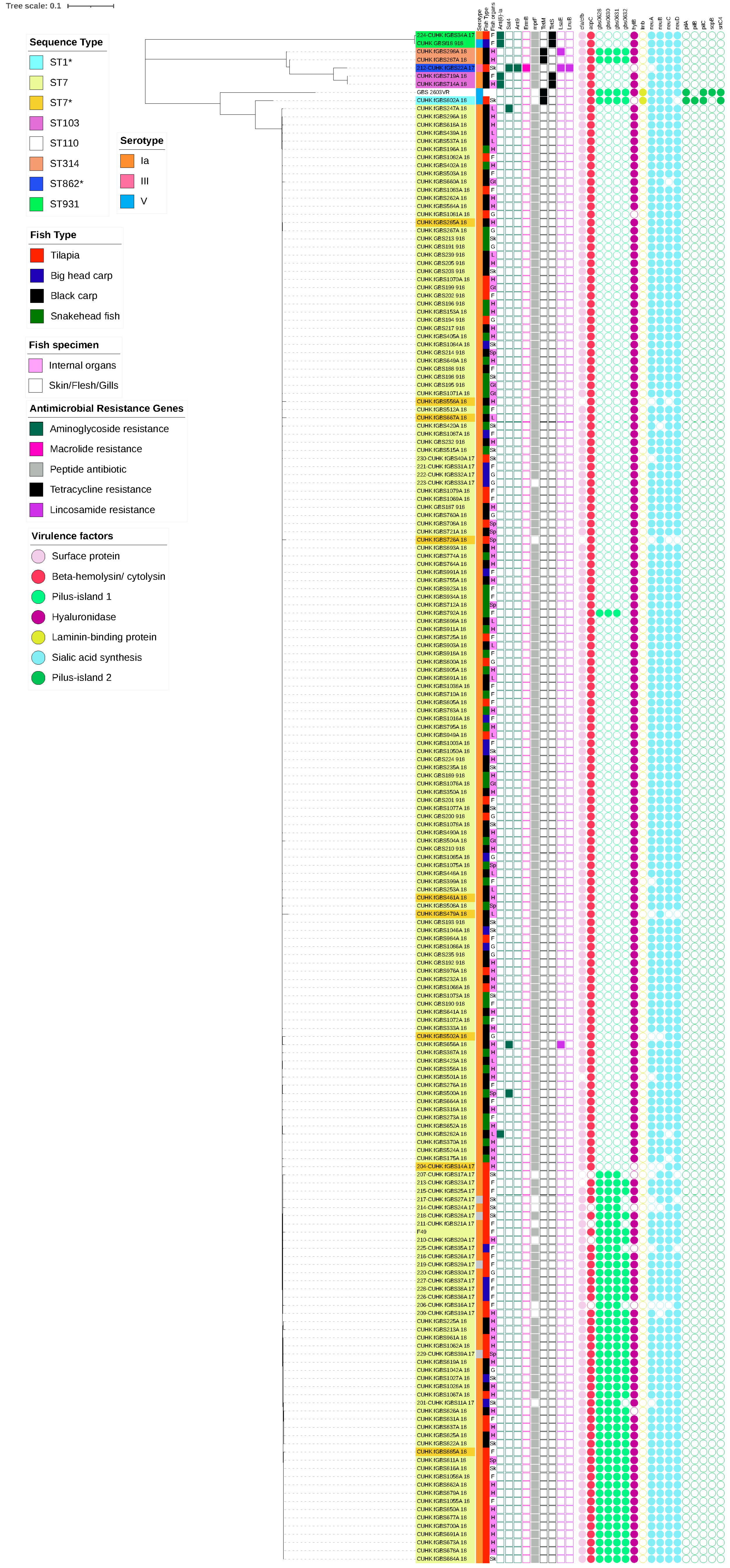 Antibiotics 11 00397 g002