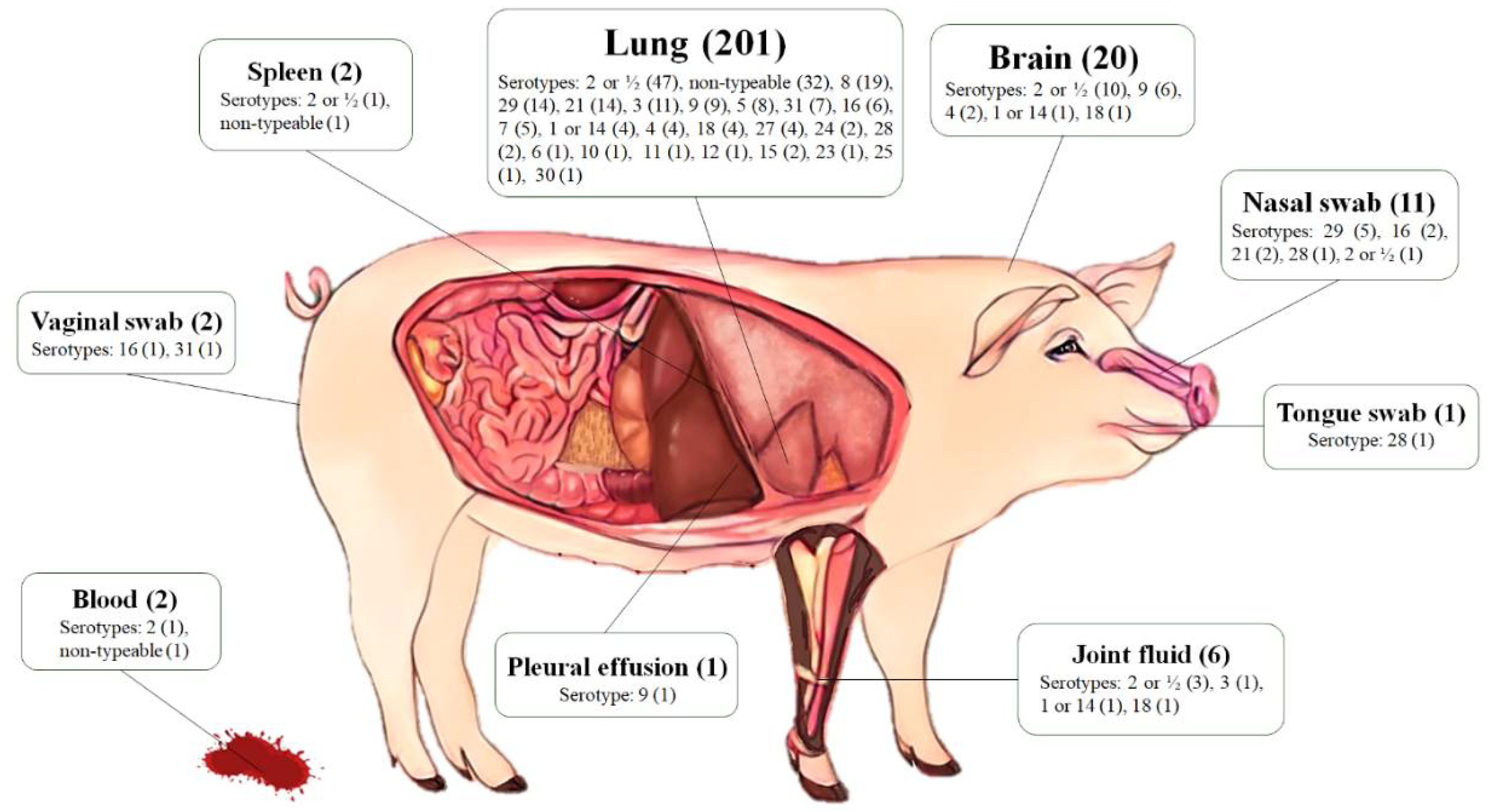 Antibiotics 11 00410 g002 Antibiotics 11 00410 g002