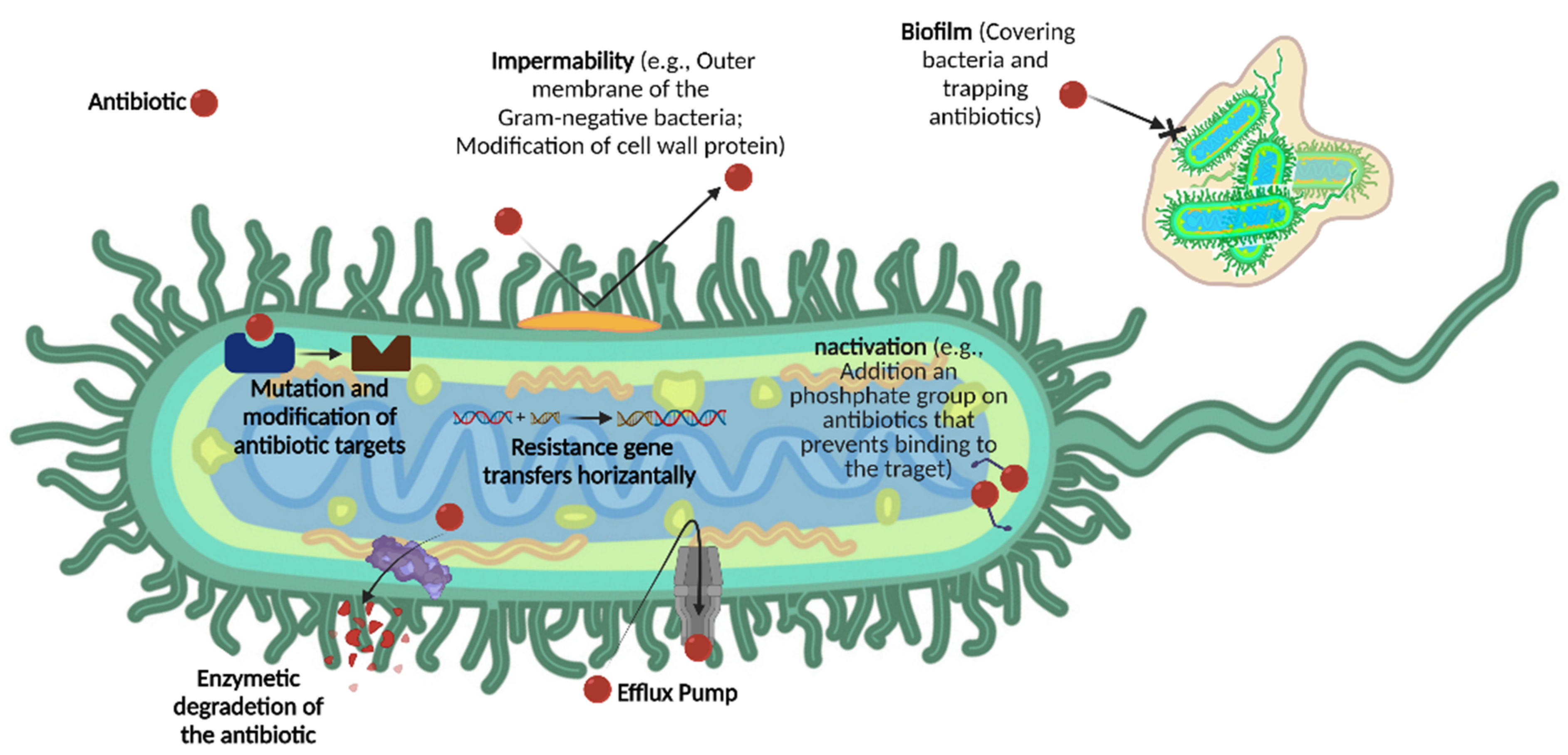 Antibiotics 11 00412 g001 Antibiotics 11 00412 g001