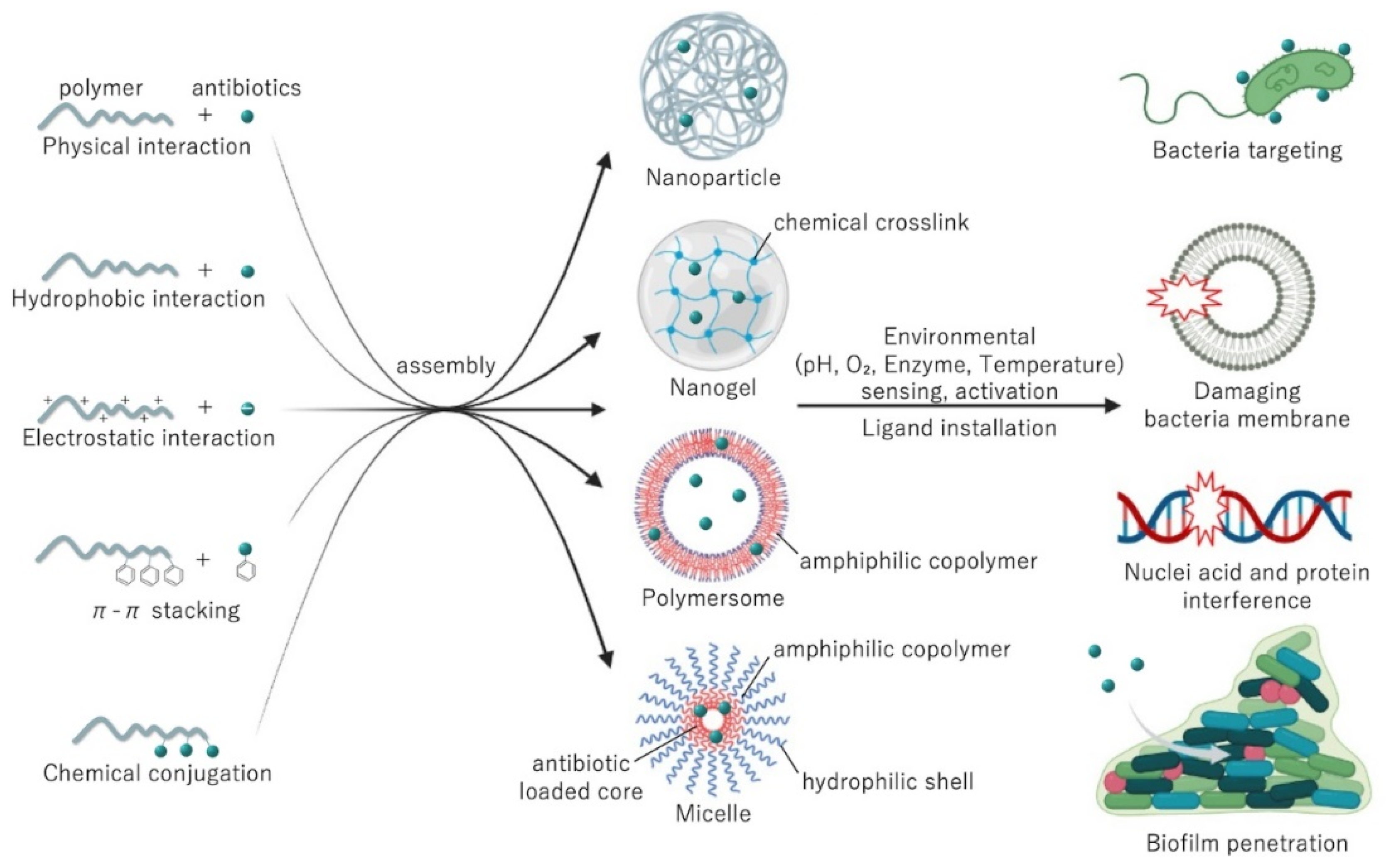 Antibiotics 11 00412 g004 Antibiotics 11 00412 g004