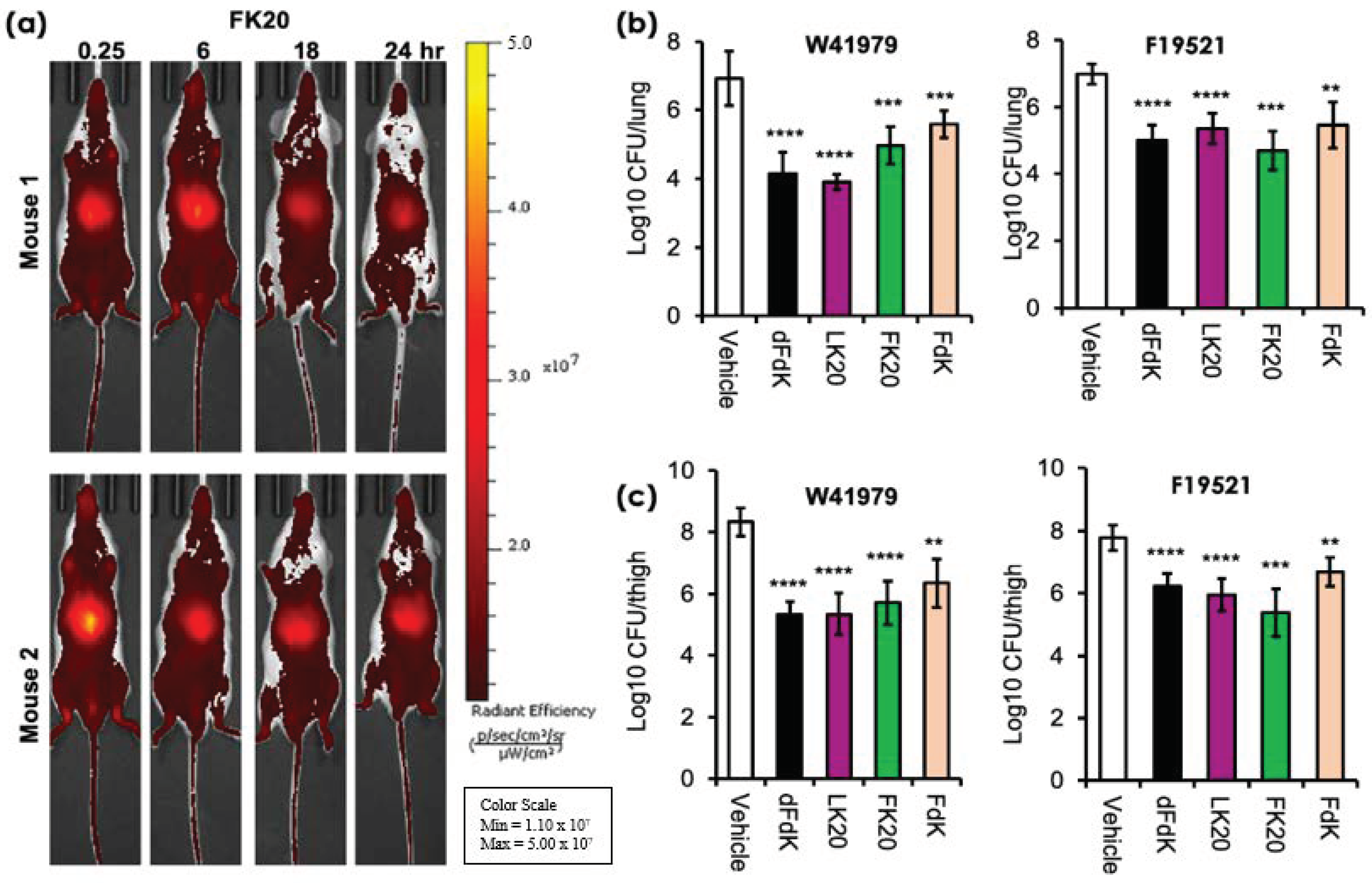 Antibiotics 11 00413 g006