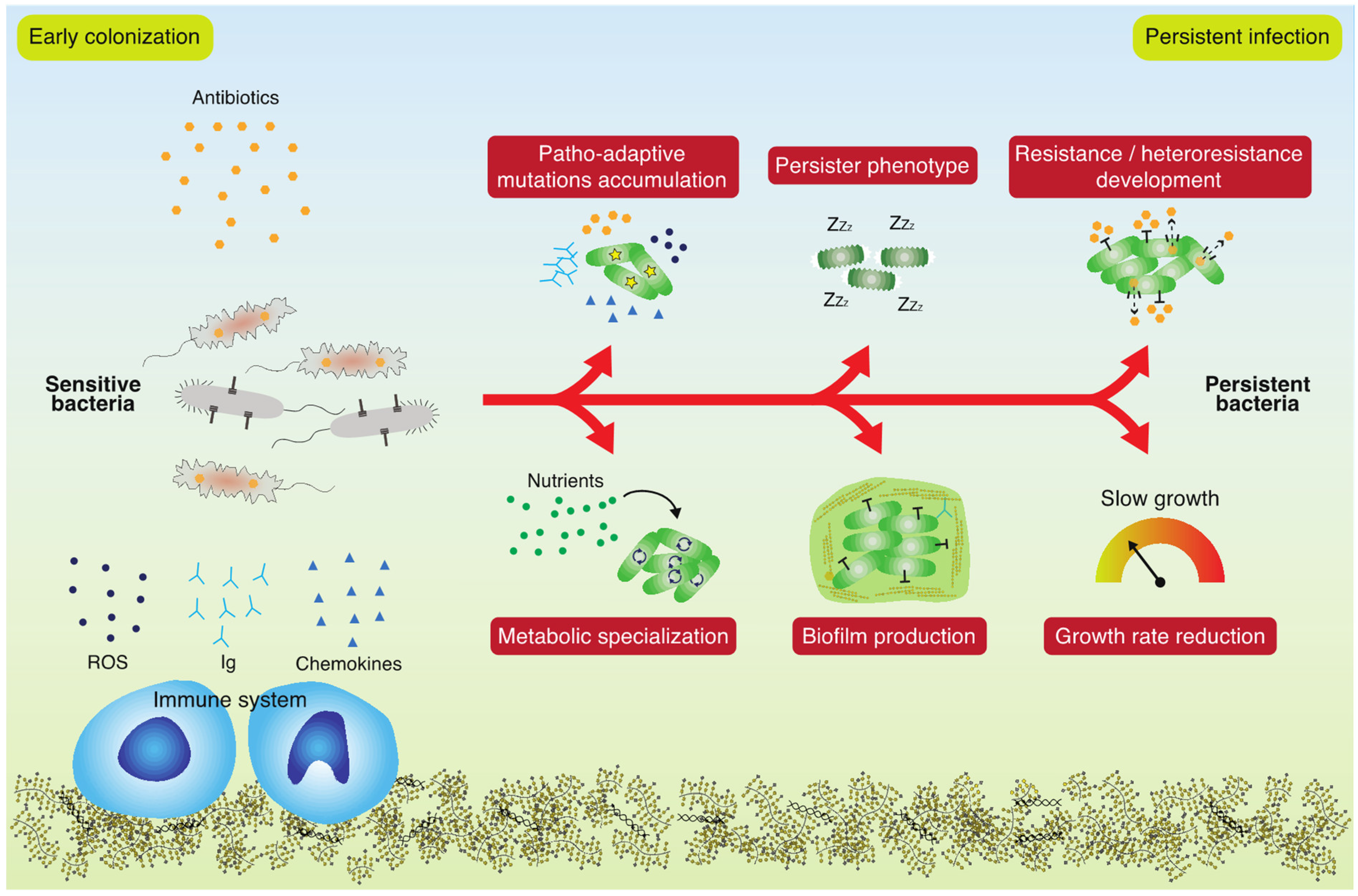 Antibiotics 11 00419 g001