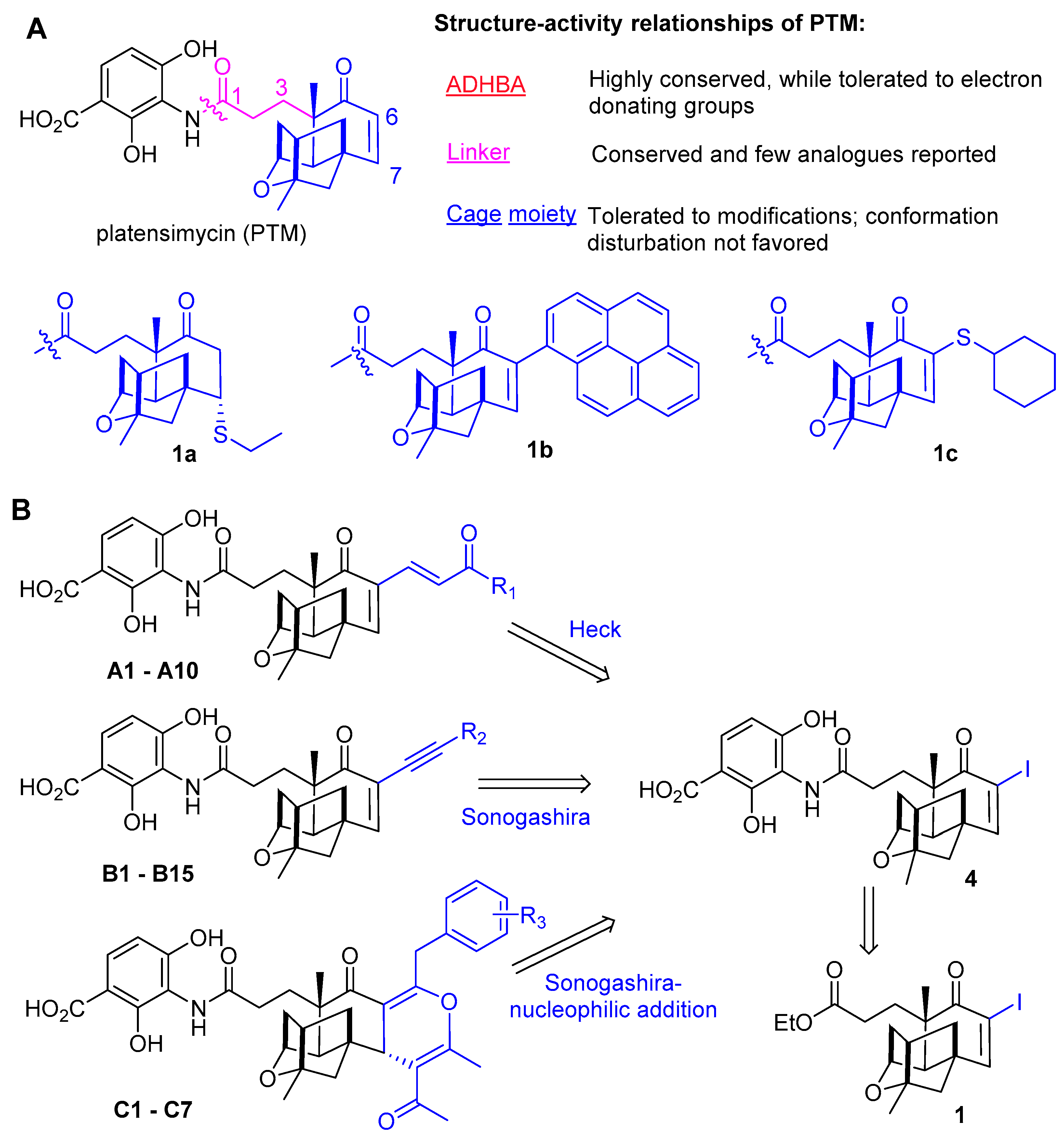 Antibiotics 11 00425 g001 550