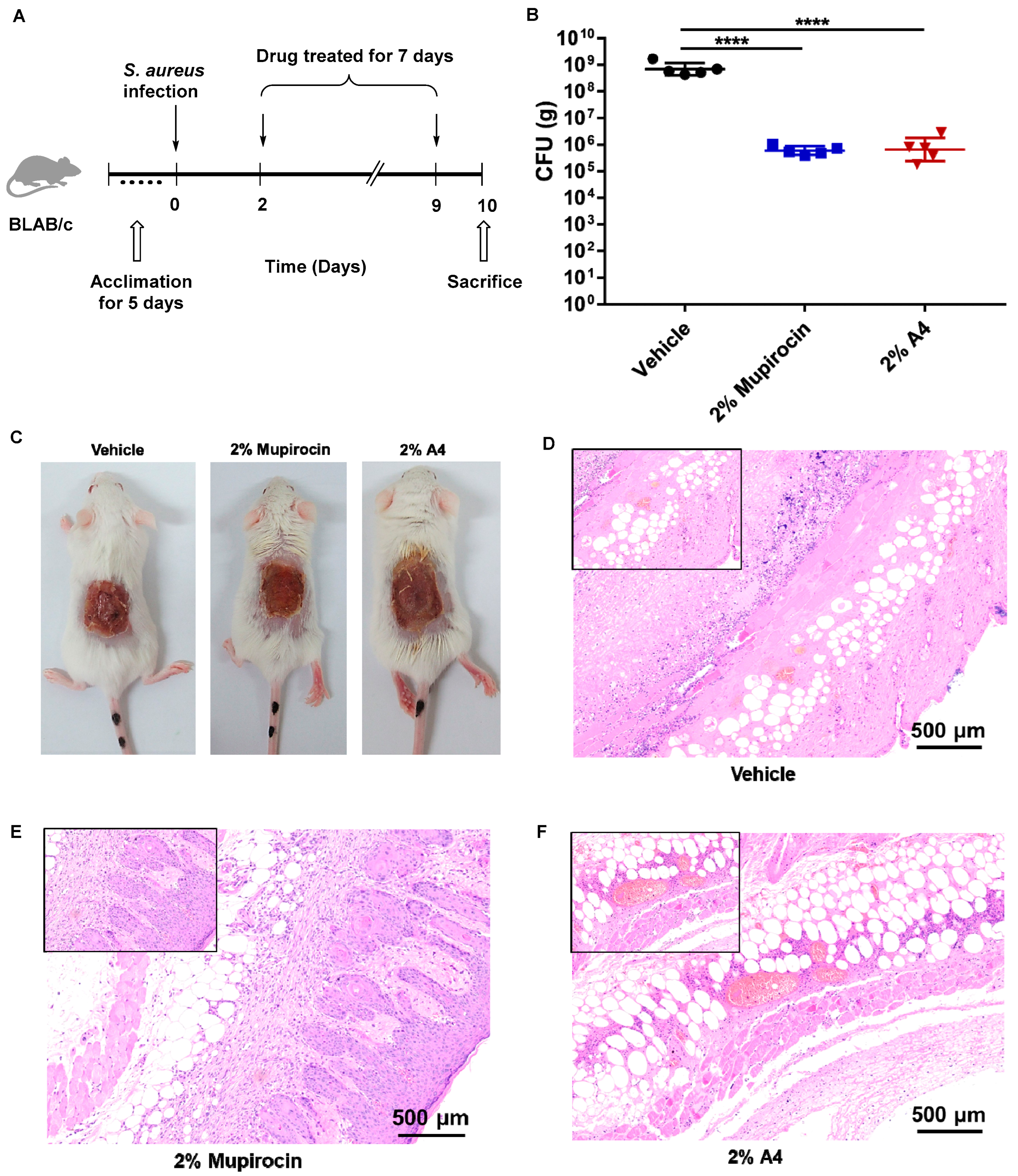 Antibiotics 11 00425 g005 550