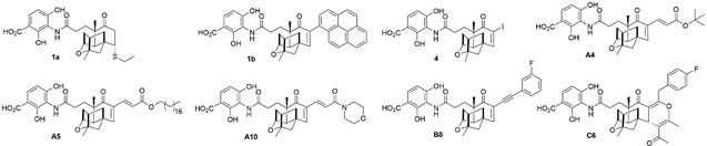 Antibiotics 11 00425 i001