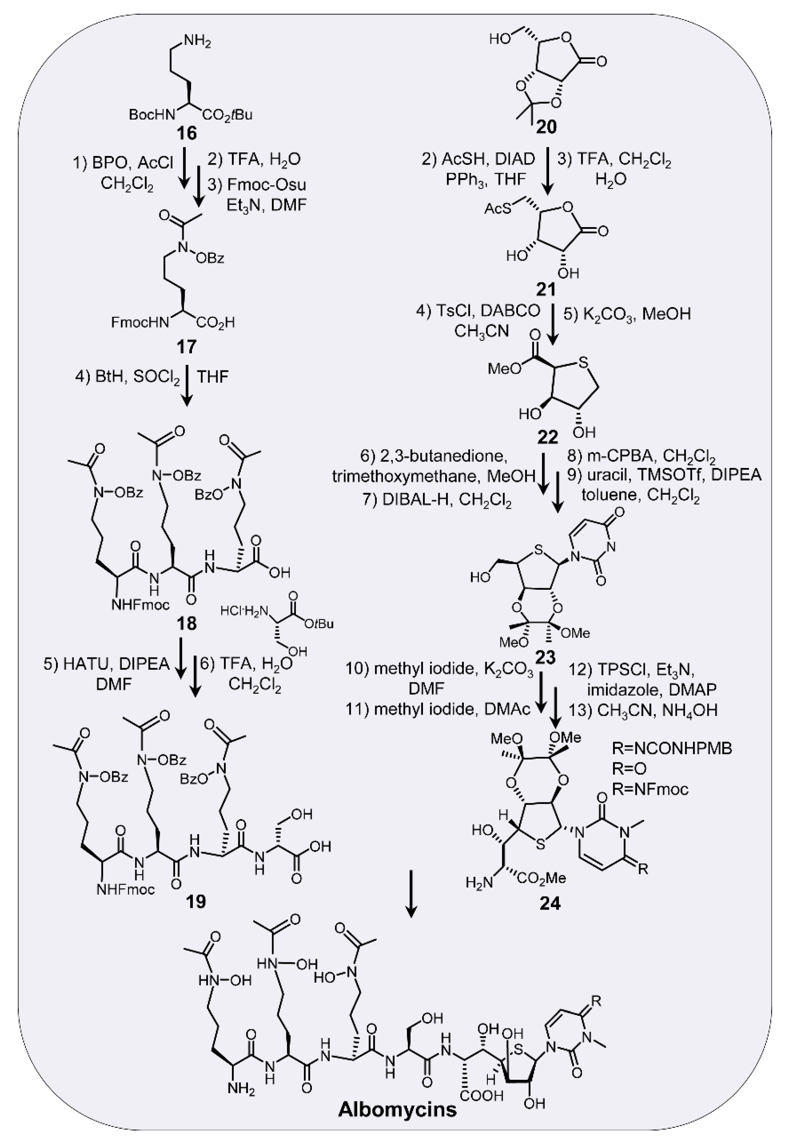 Antibiotics 11 00438 sch002 Antibiotics 11 00438 sch002