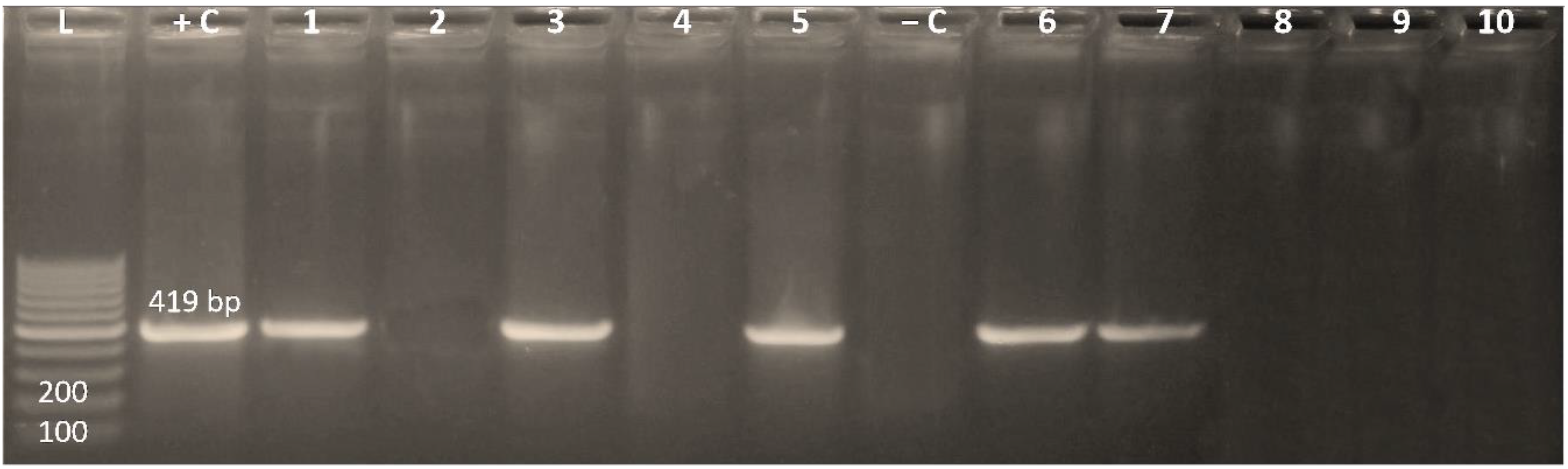 Antibiotics 11 00440 g001