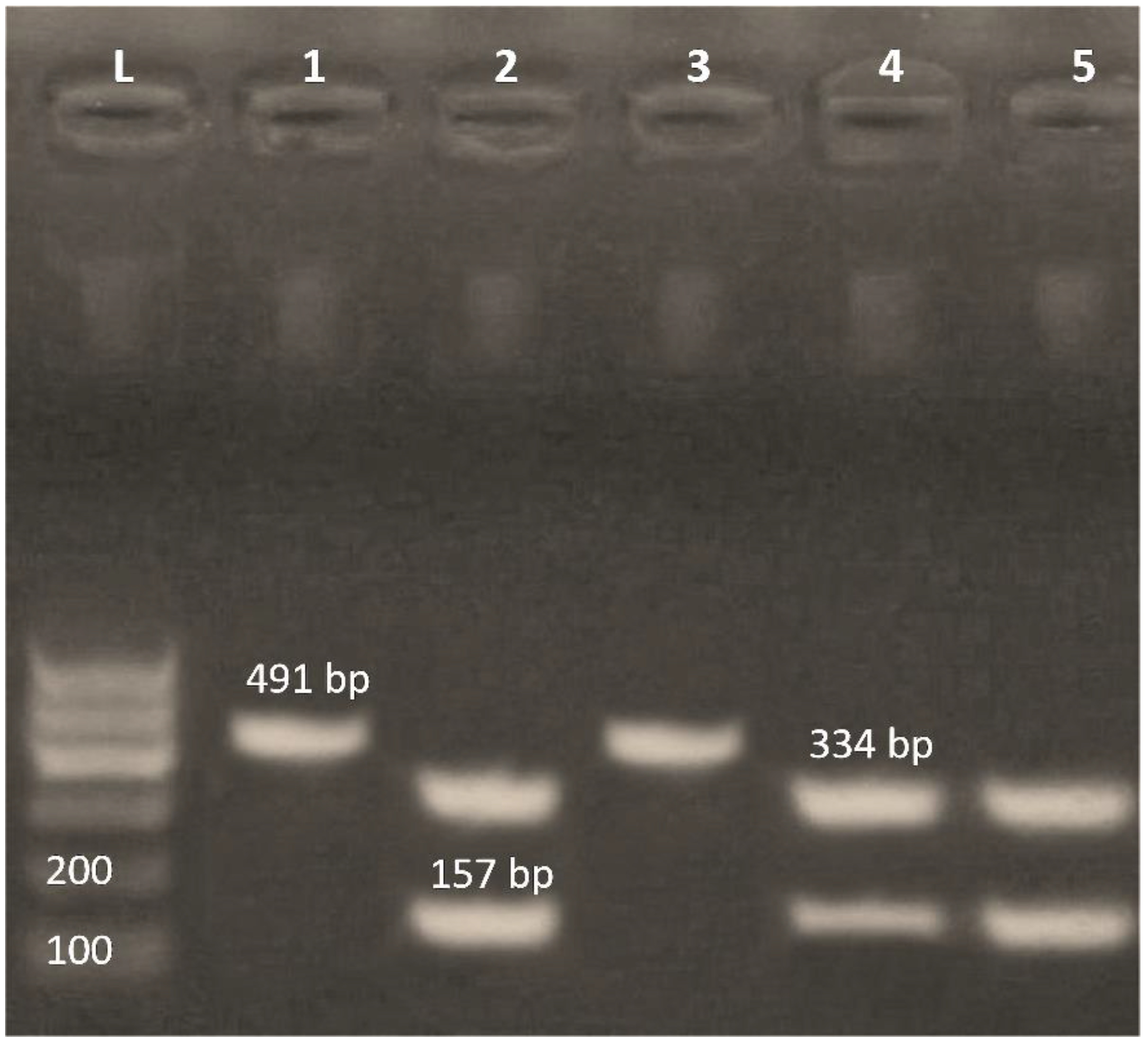 Antibiotics 11 00440 g002