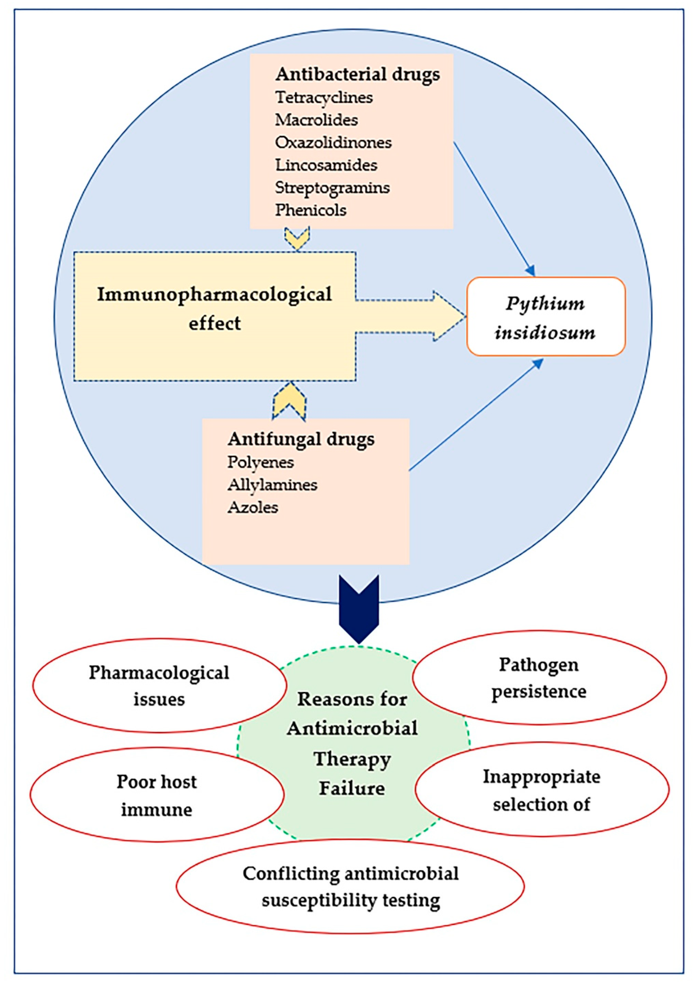 Antibiotics 11 00450 g003 Antibiotics 11 00450 g003