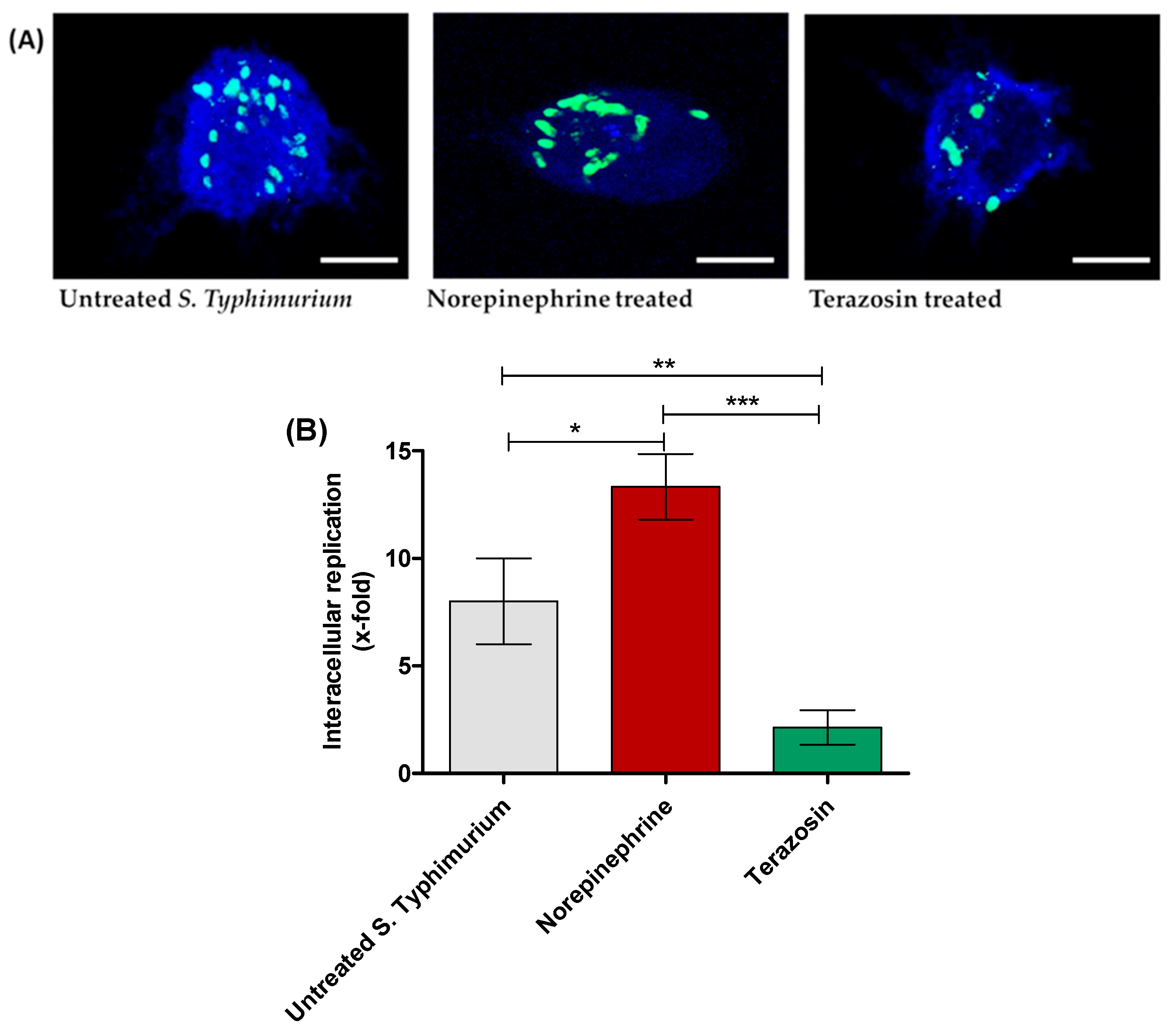 Antibiotics 11 00465 g004 Antibiotics 11 00465 g004