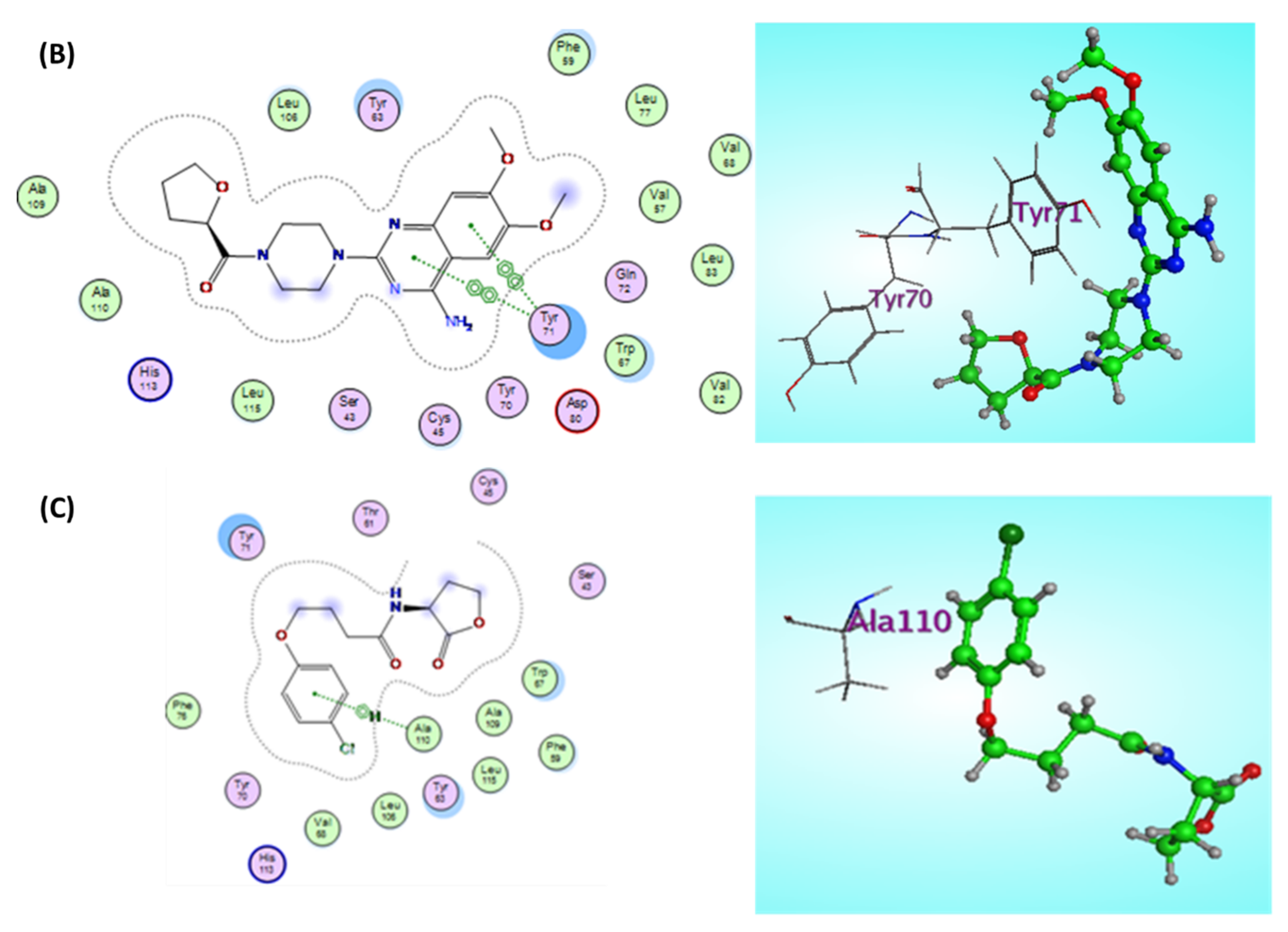 Antibiotics 11 00465 g007b Antibiotics 11 00465 g007b