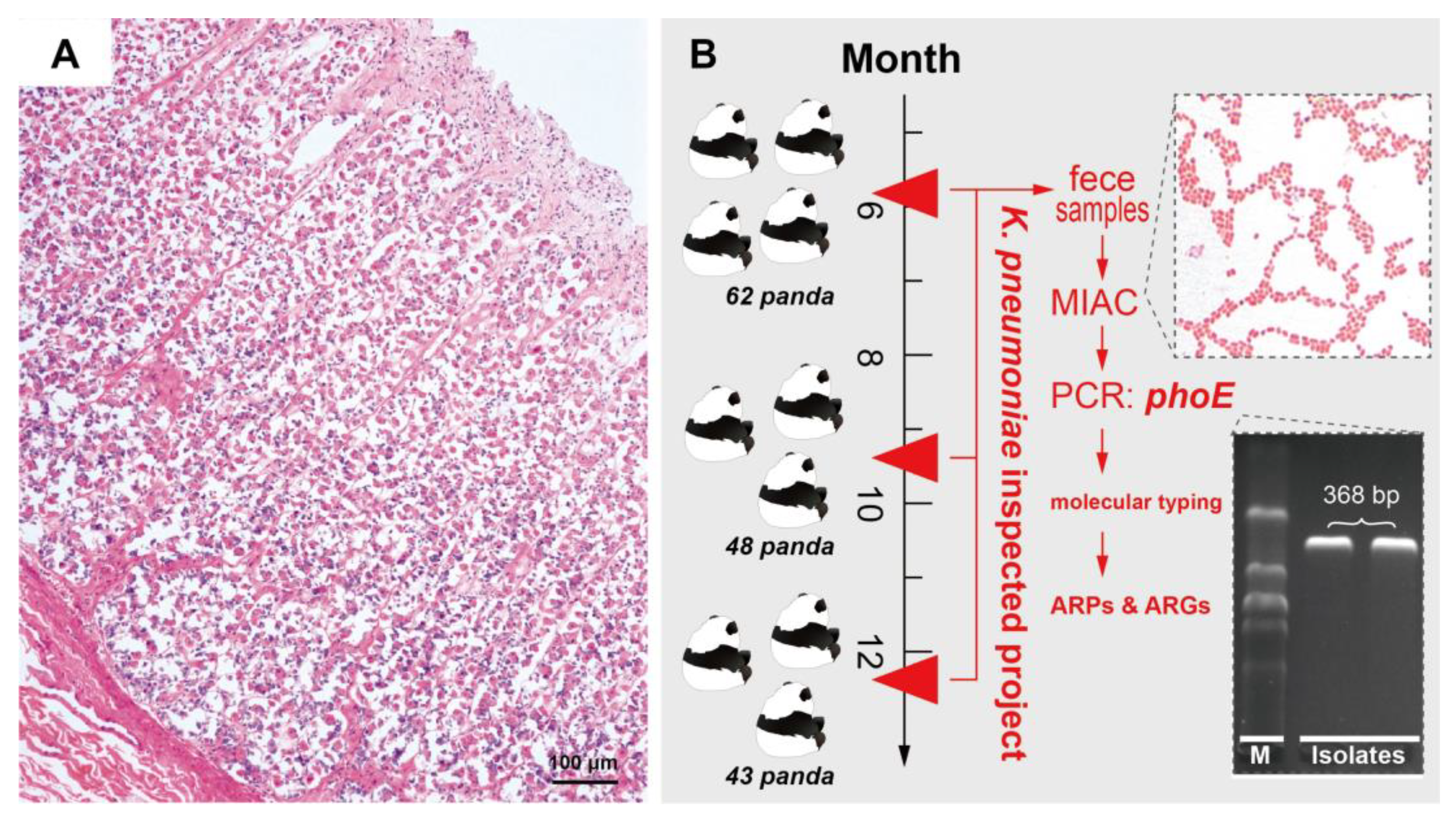 Antibiotics 11 00473 g001 Antibiotics 11 00473 g001