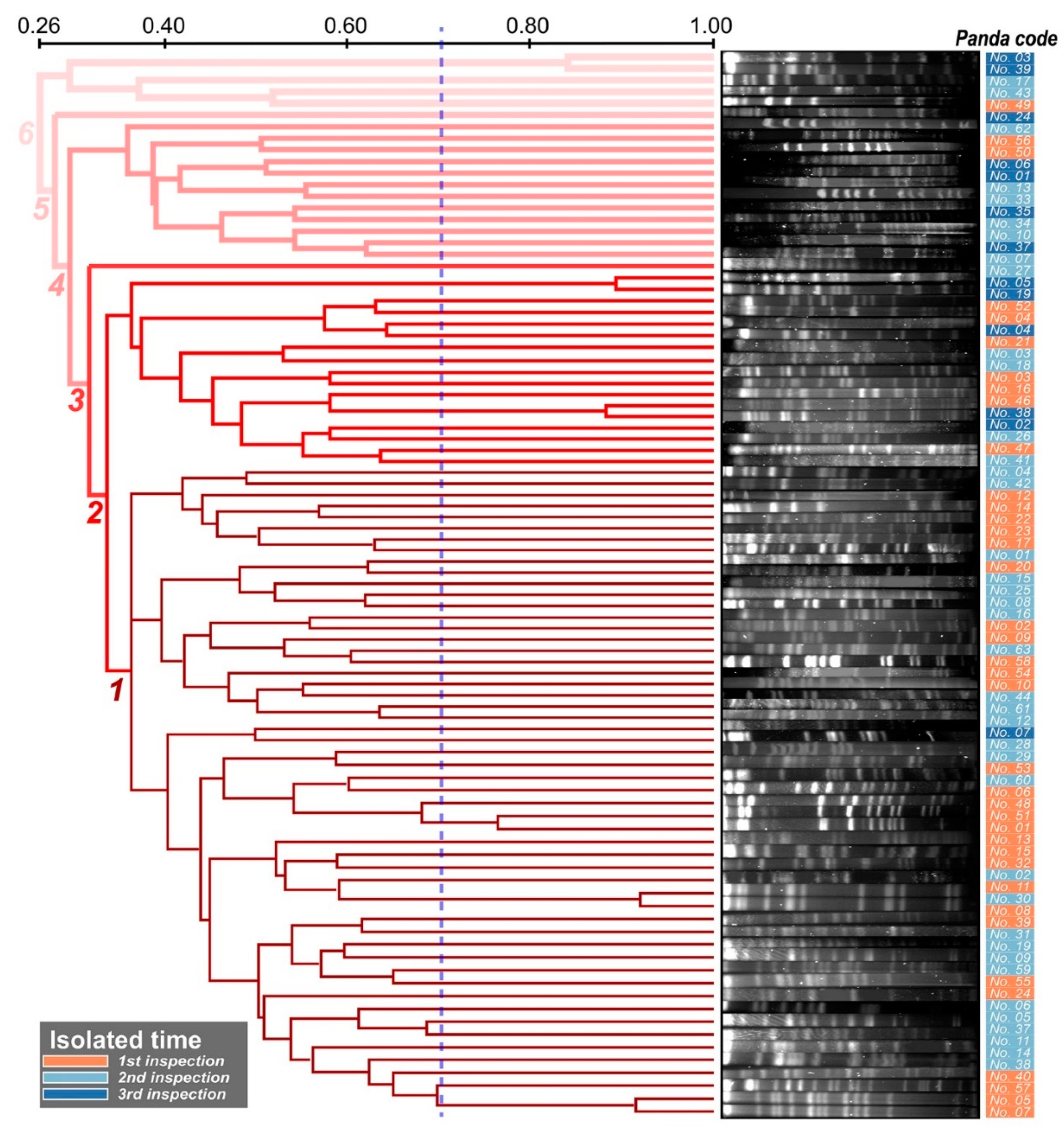 Antibiotics 11 00473 g002 Antibiotics 11 00473 g002