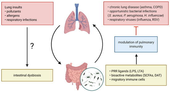 保障できる a as Modulation Microbiome Novel and Treat to Strategy ゲームキャラクター