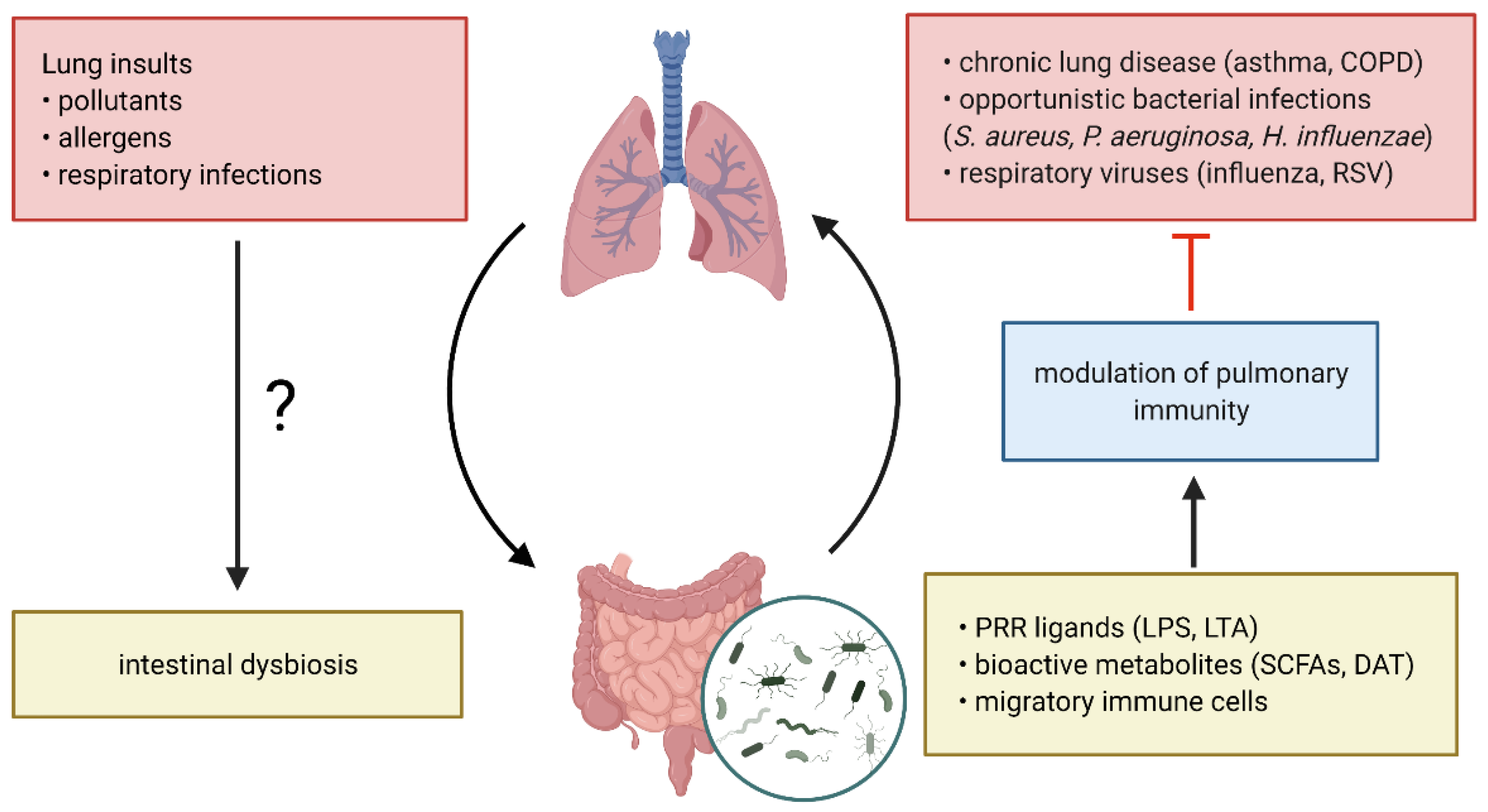 Harnessing the Microbiome for Disease Prevention and Therapy