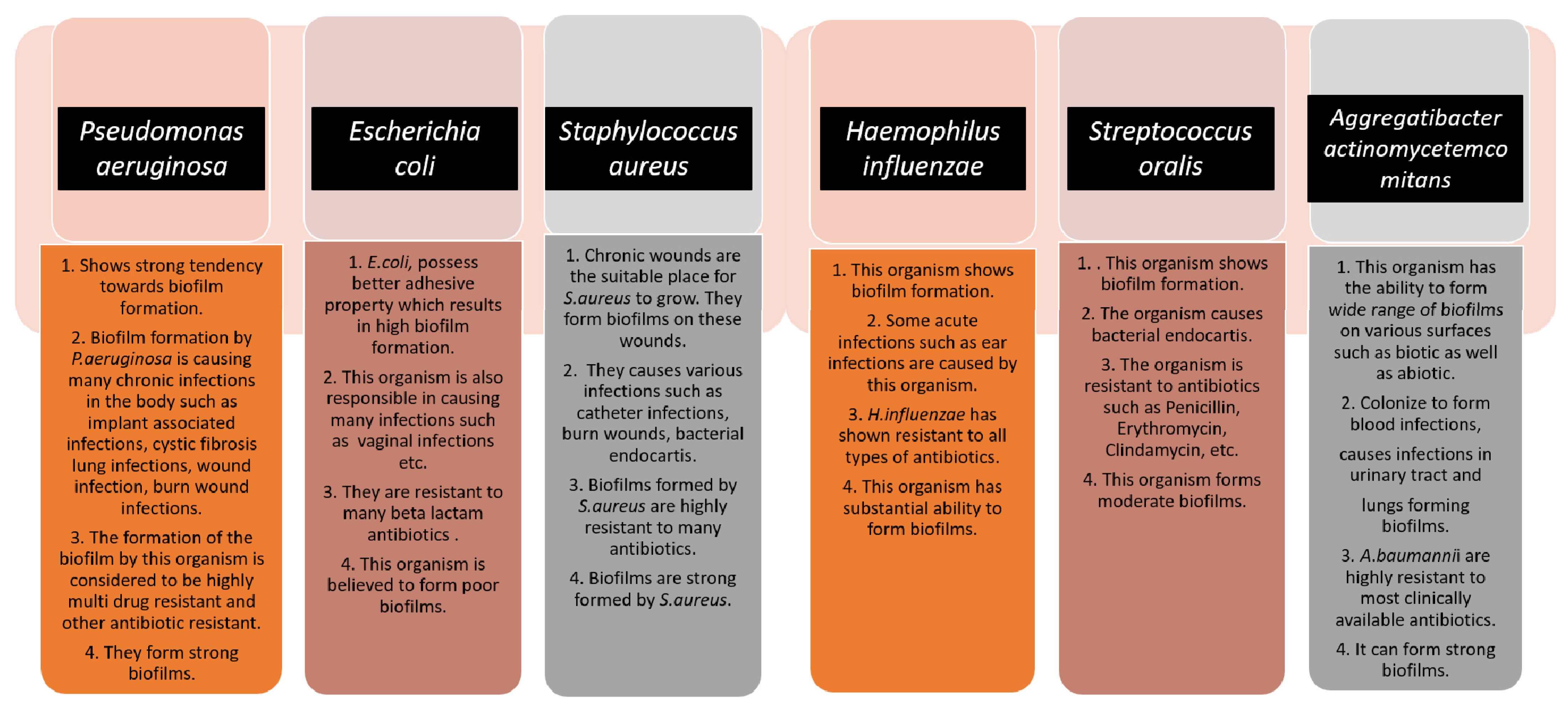 Antibiotics 11 00476 g001