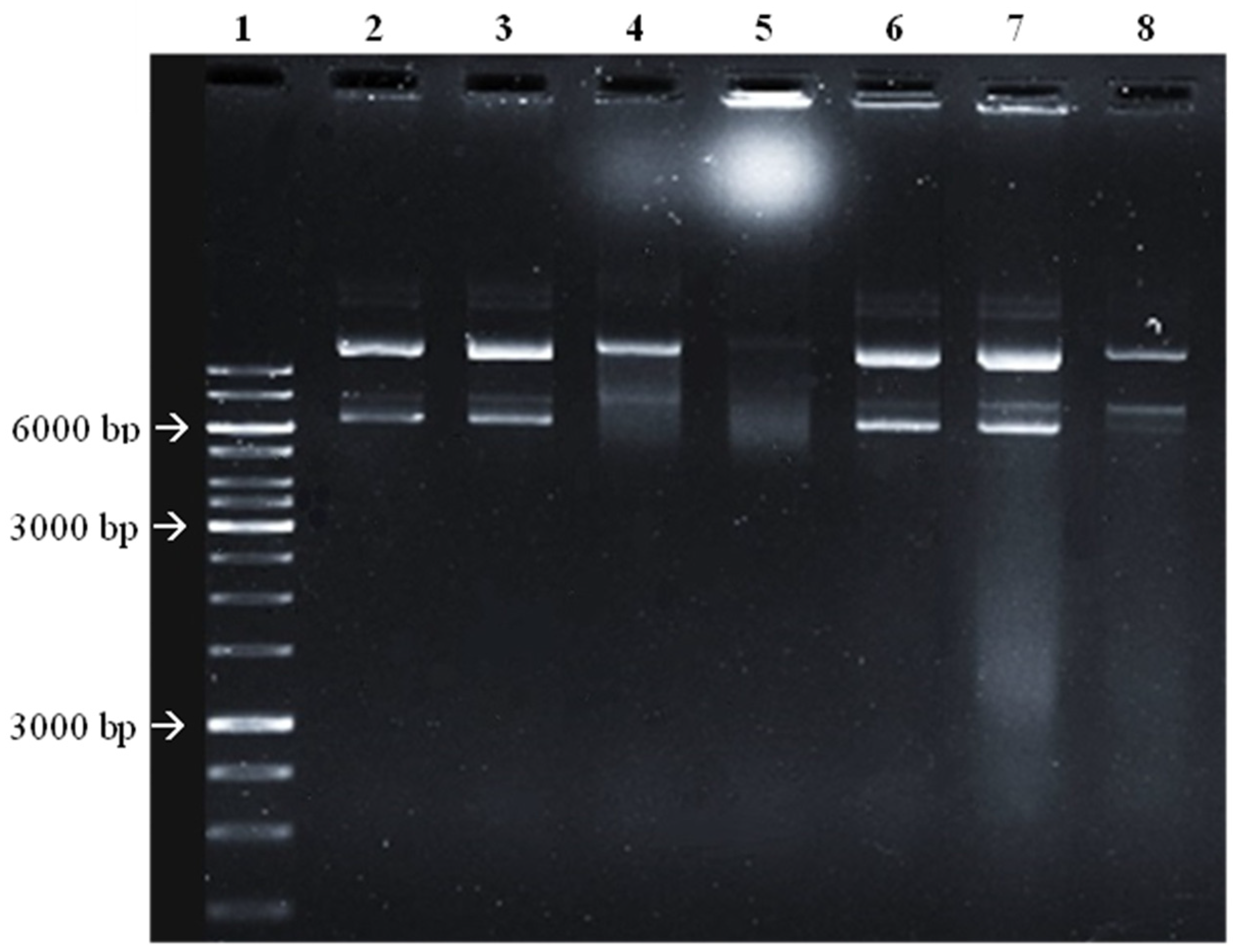 Antibiotics 11 00481 g006 550