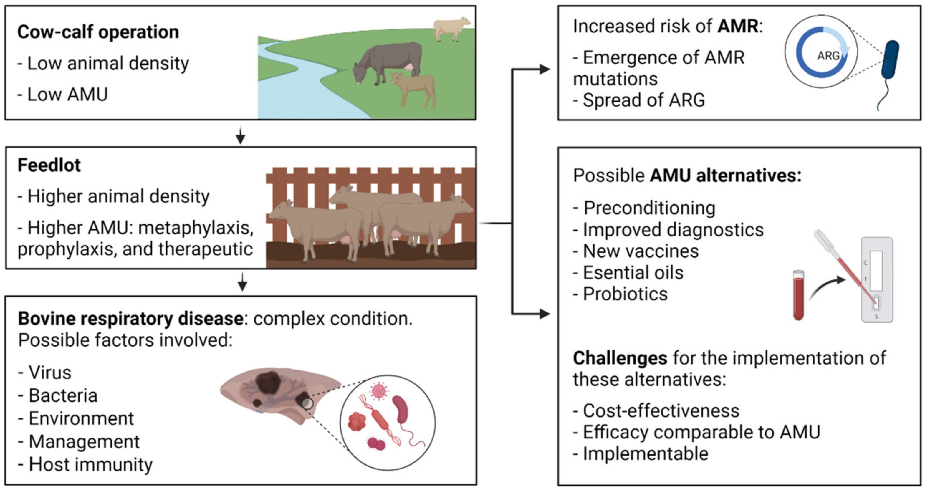Antibiotics 11 00487 g001 Antibiotics 11 00487 g001