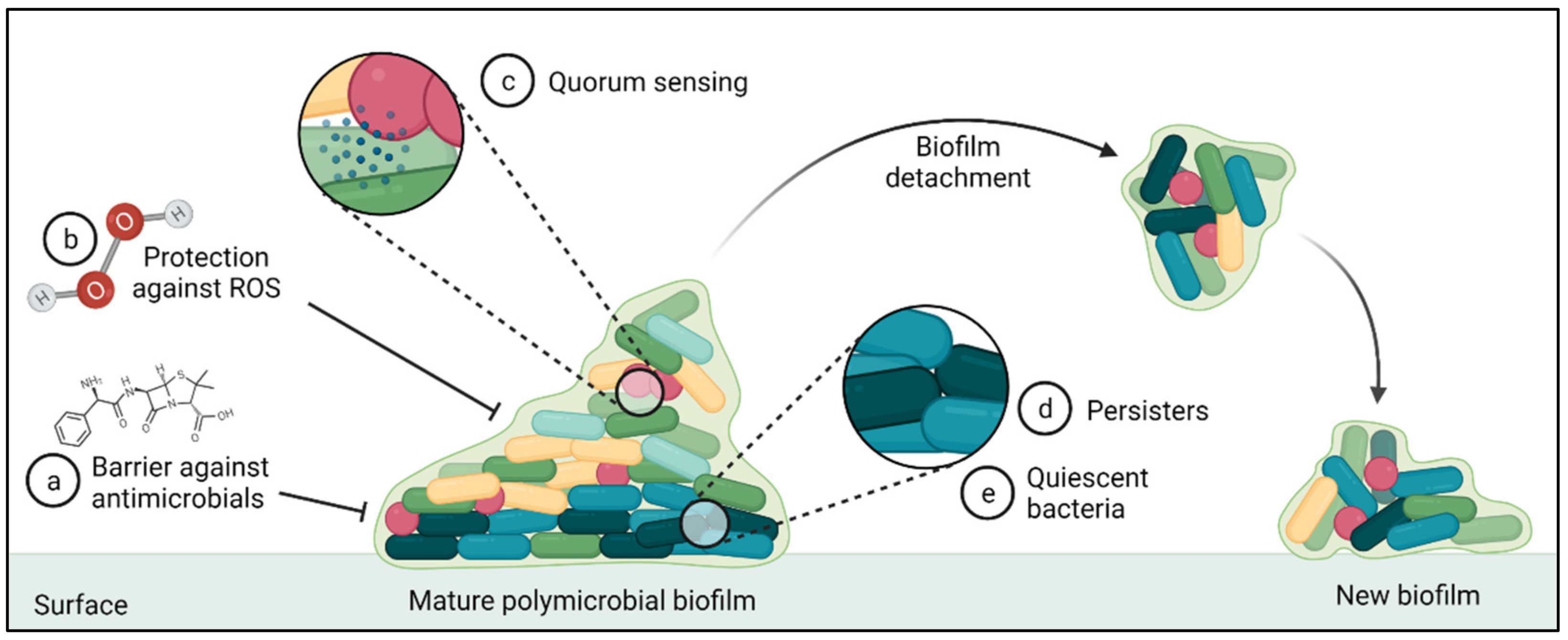 Antibiotics 11 00487 g005 Antibiotics 11 00487 g005