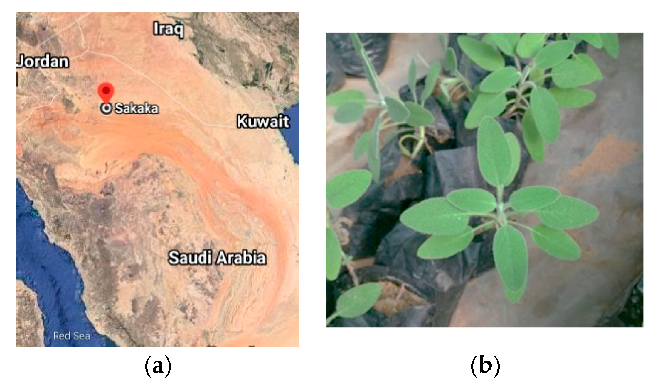 Antibiotics 11 00489 g001