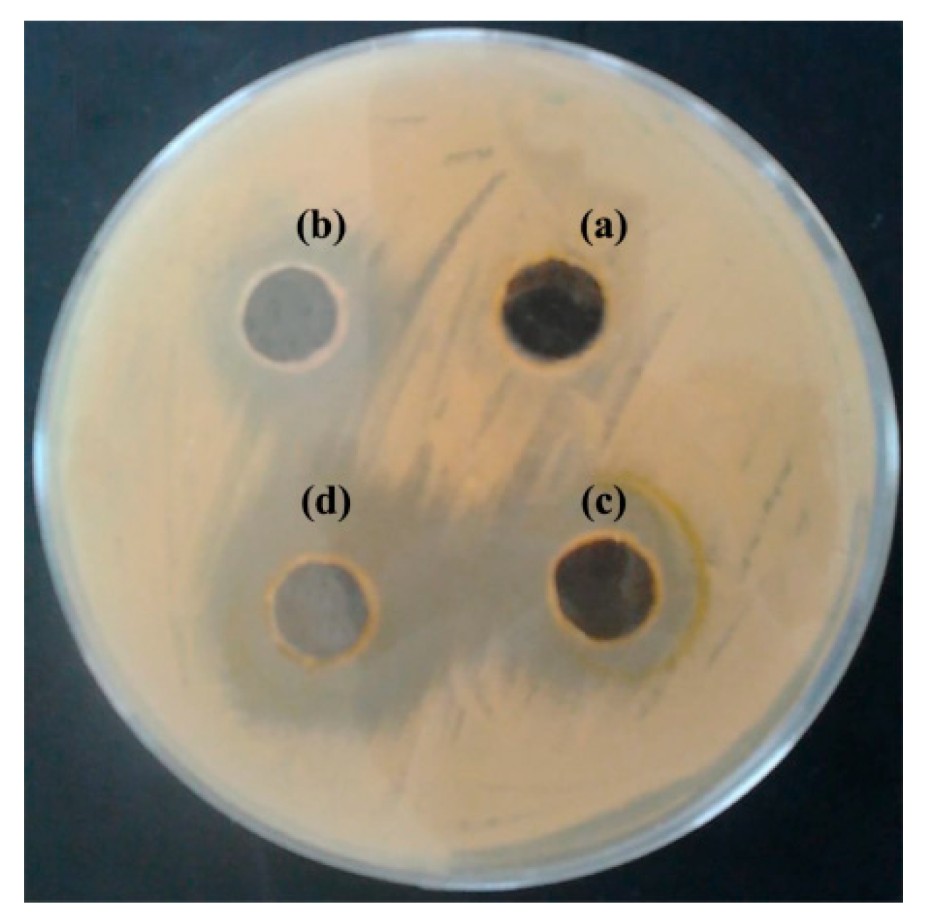 Antibiotics 11 00489 g003