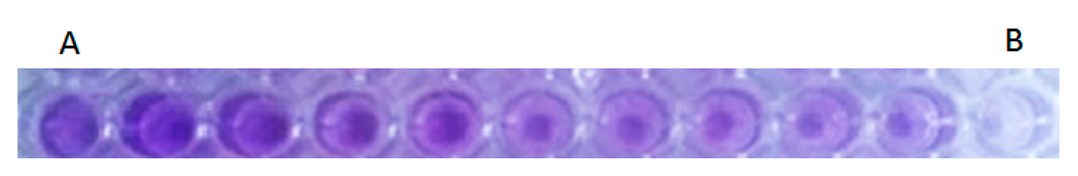 Antibiotics 11 00489 g005