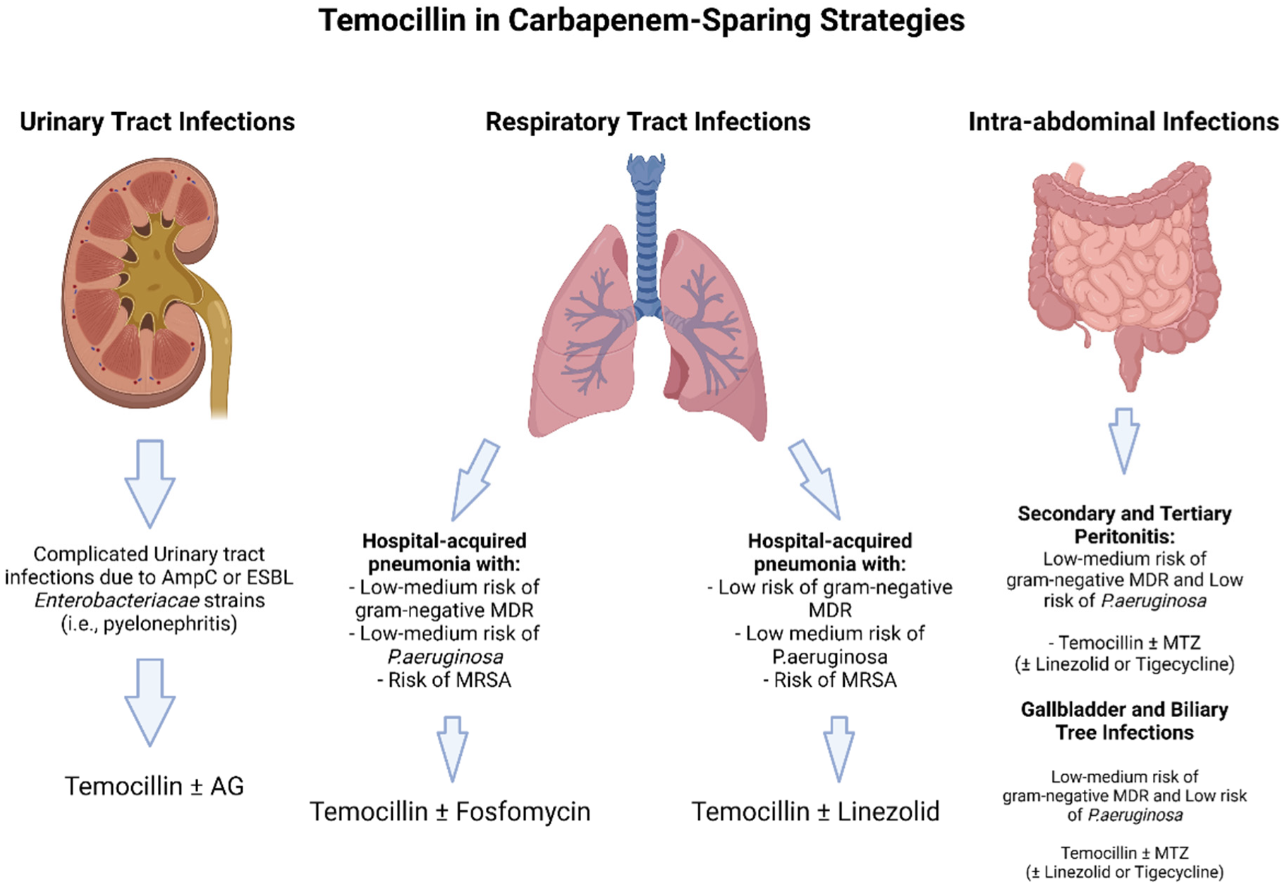 Antibiotics 11 00493 g002