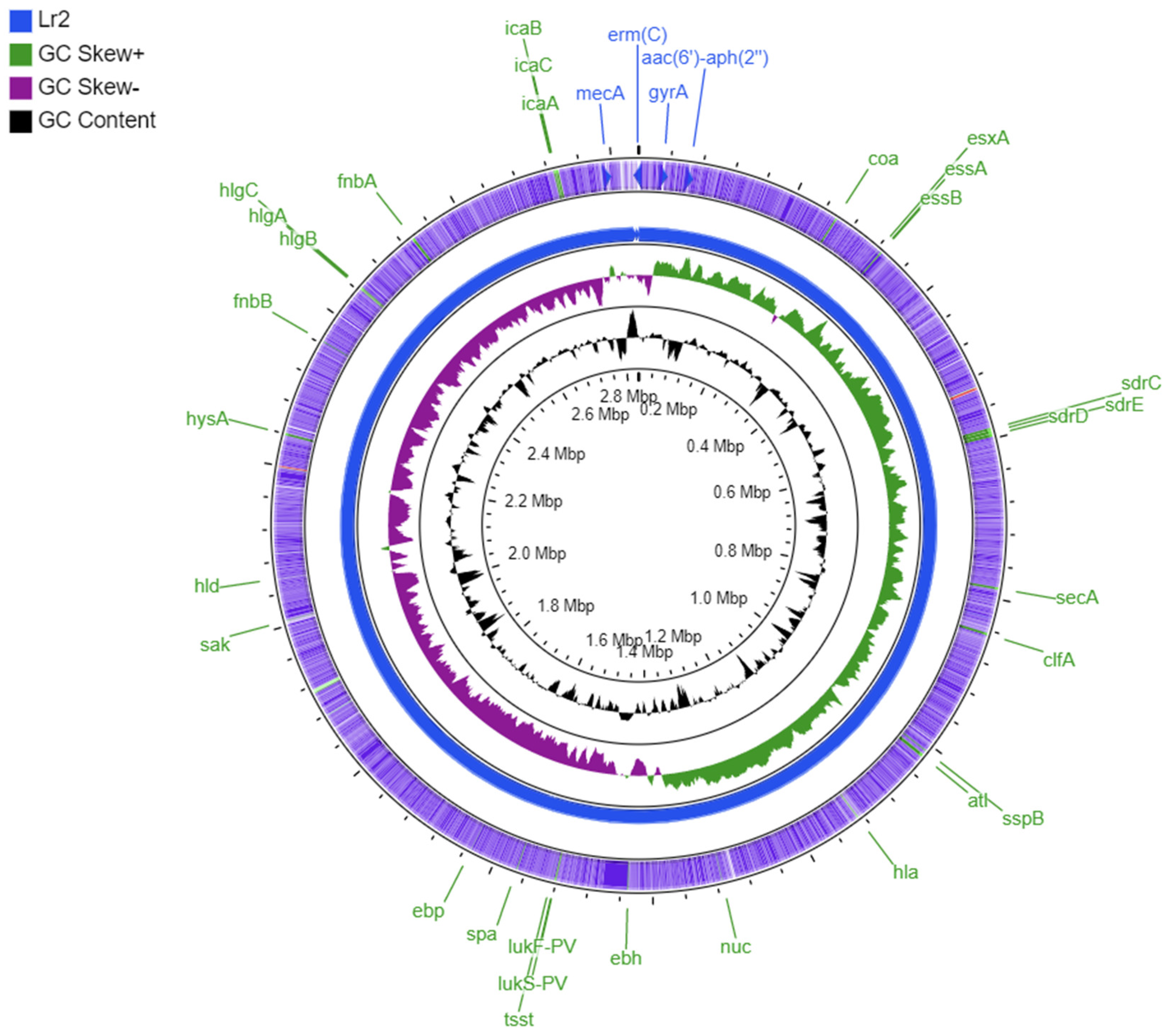 Antibiotics 11 00496 g001 Antibiotics 11 00496 g001
