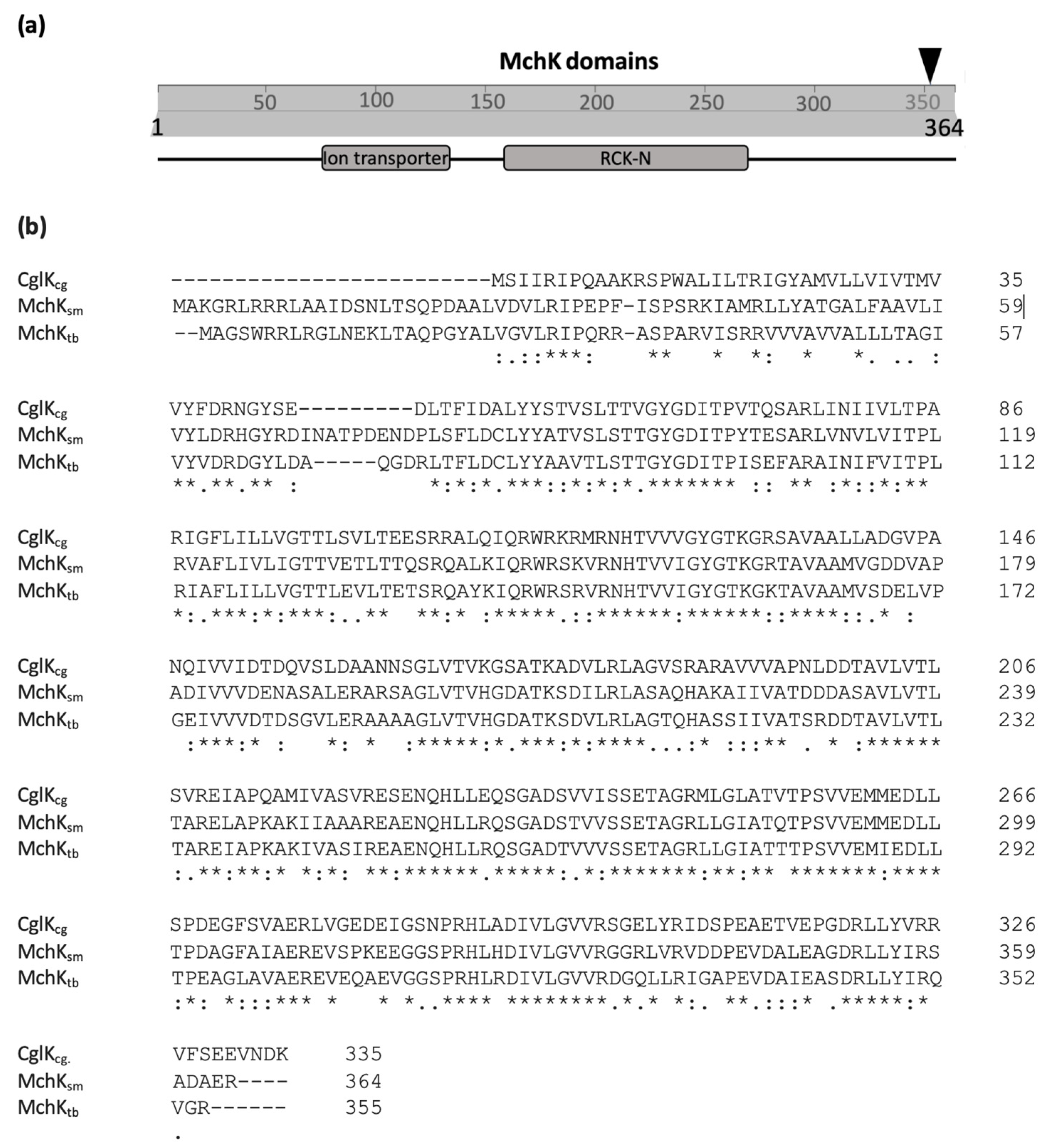 Antibiotics 11 00509 g001 Antibiotics 11 00509 g001