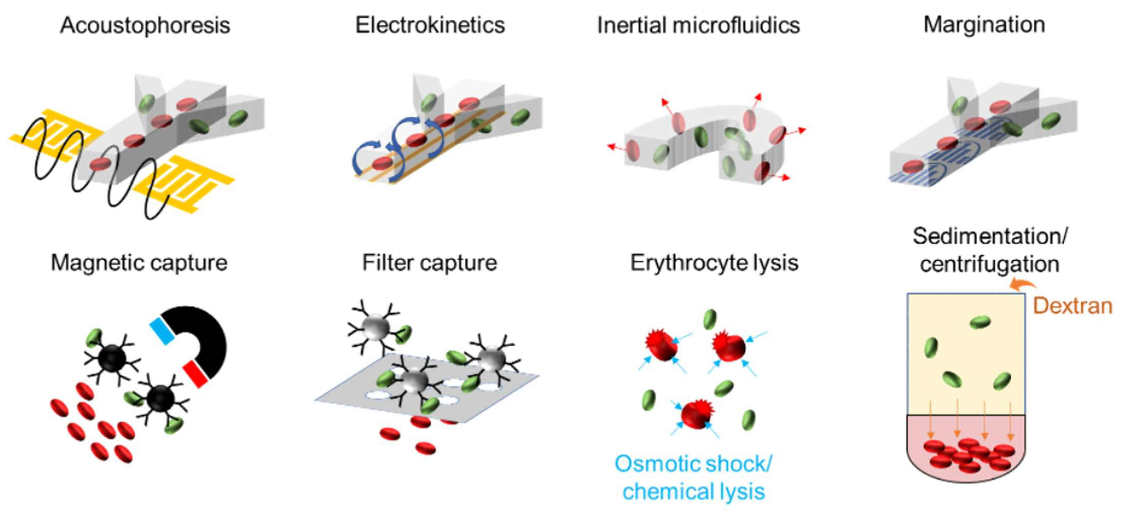 Antibiotics 11 00511 g002 Antibiotics 11 00511 g002