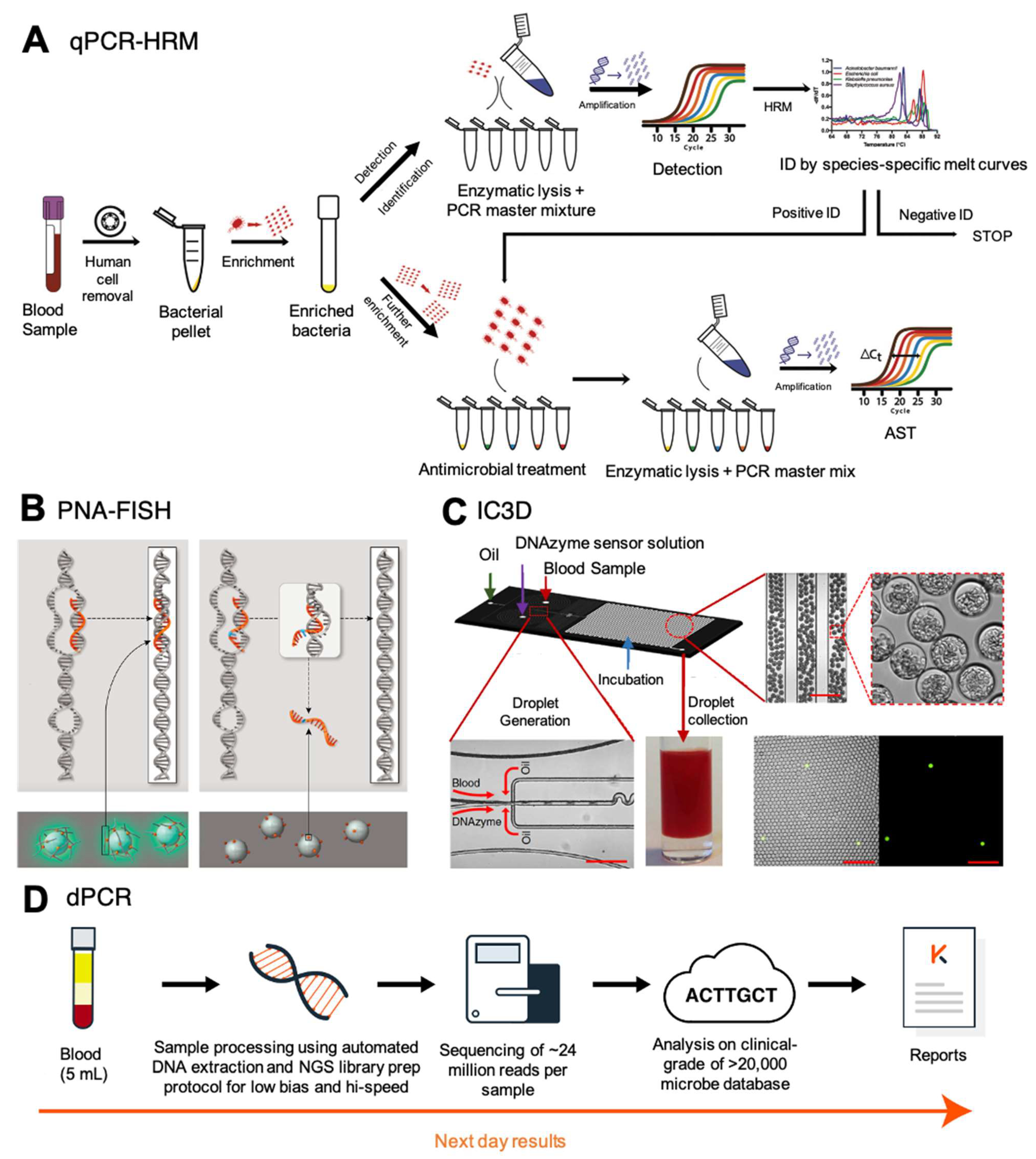 Antibiotics 11 00511 g003 Antibiotics 11 00511 g003