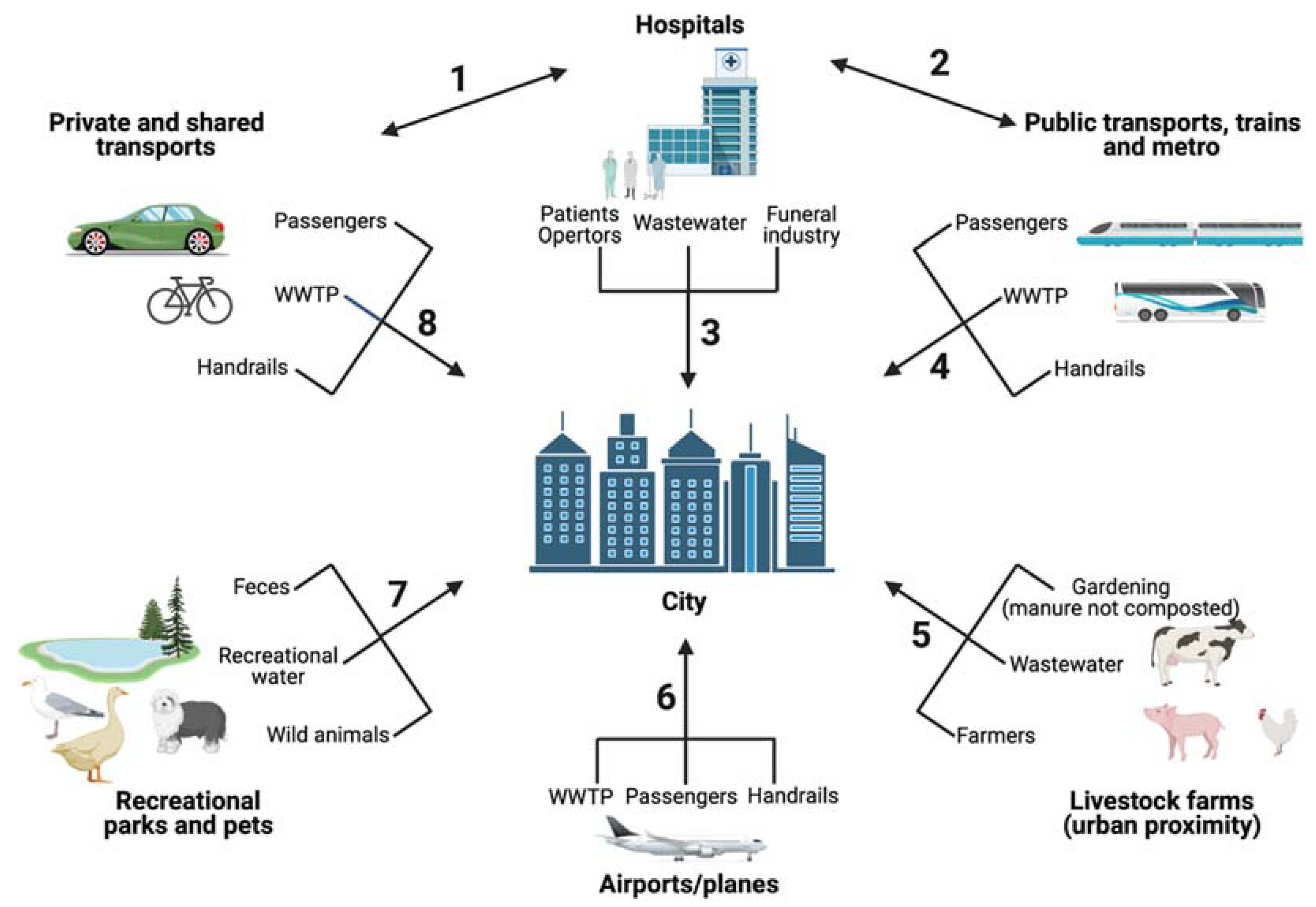 Antibiotics 11 00512 g004 Antibiotics 11 00512 g004