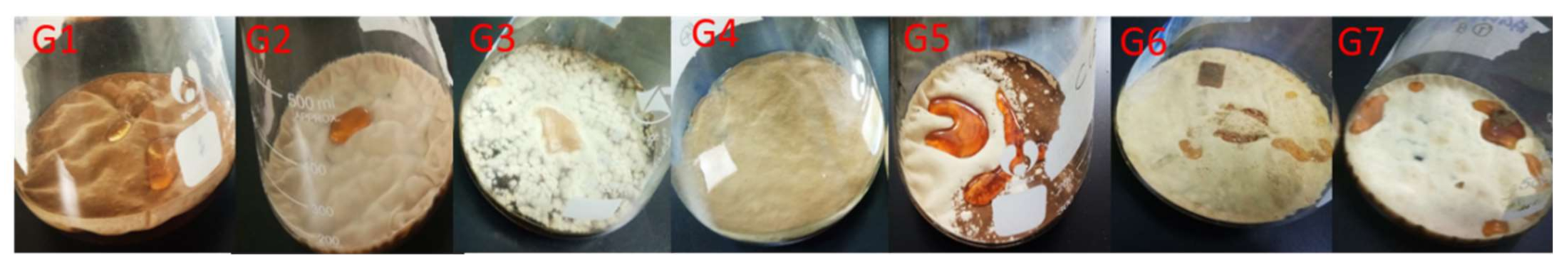 Antibiotics 11 00513 g001