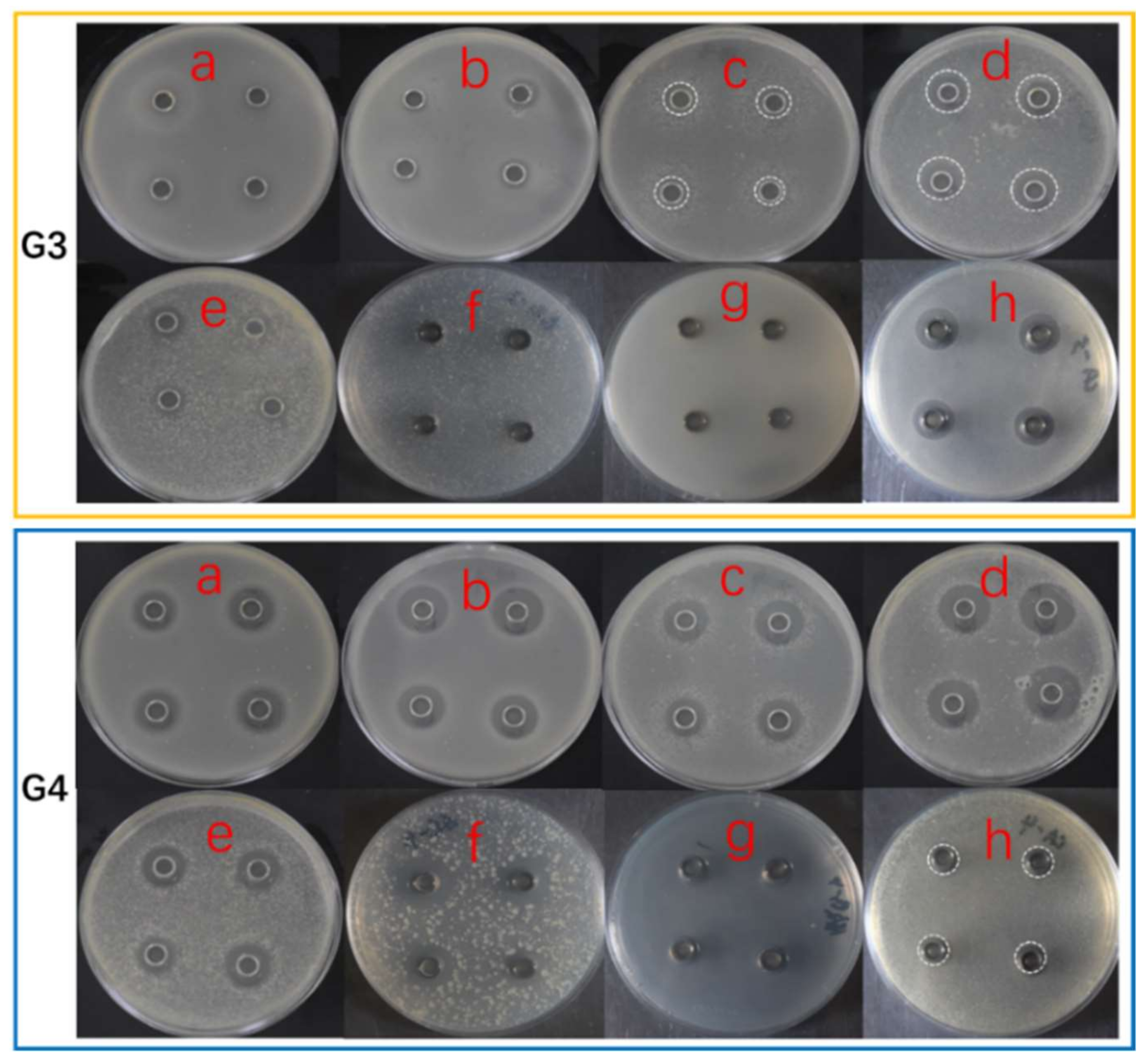 Antibiotics 11 00513 g003