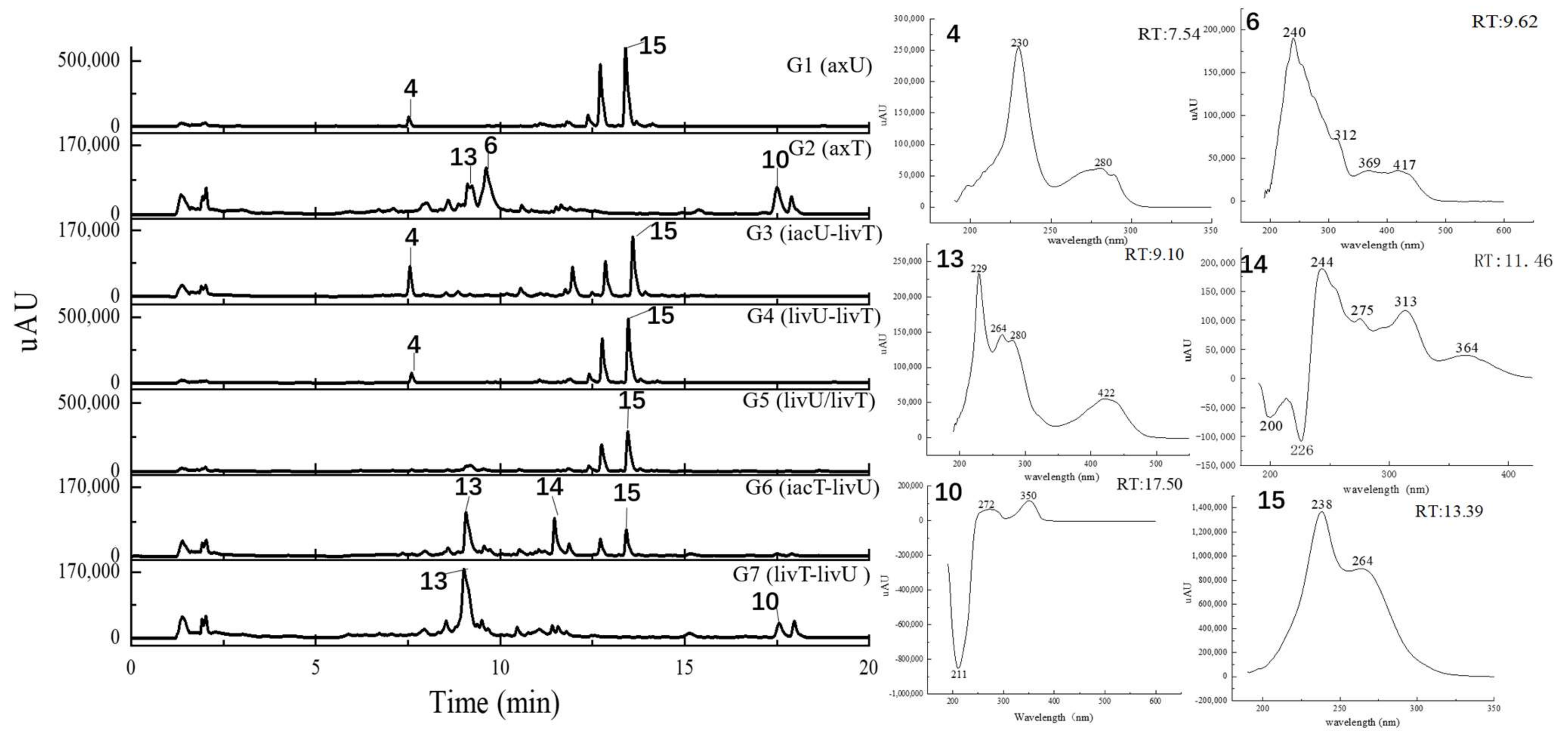 Antibiotics 11 00513 g004