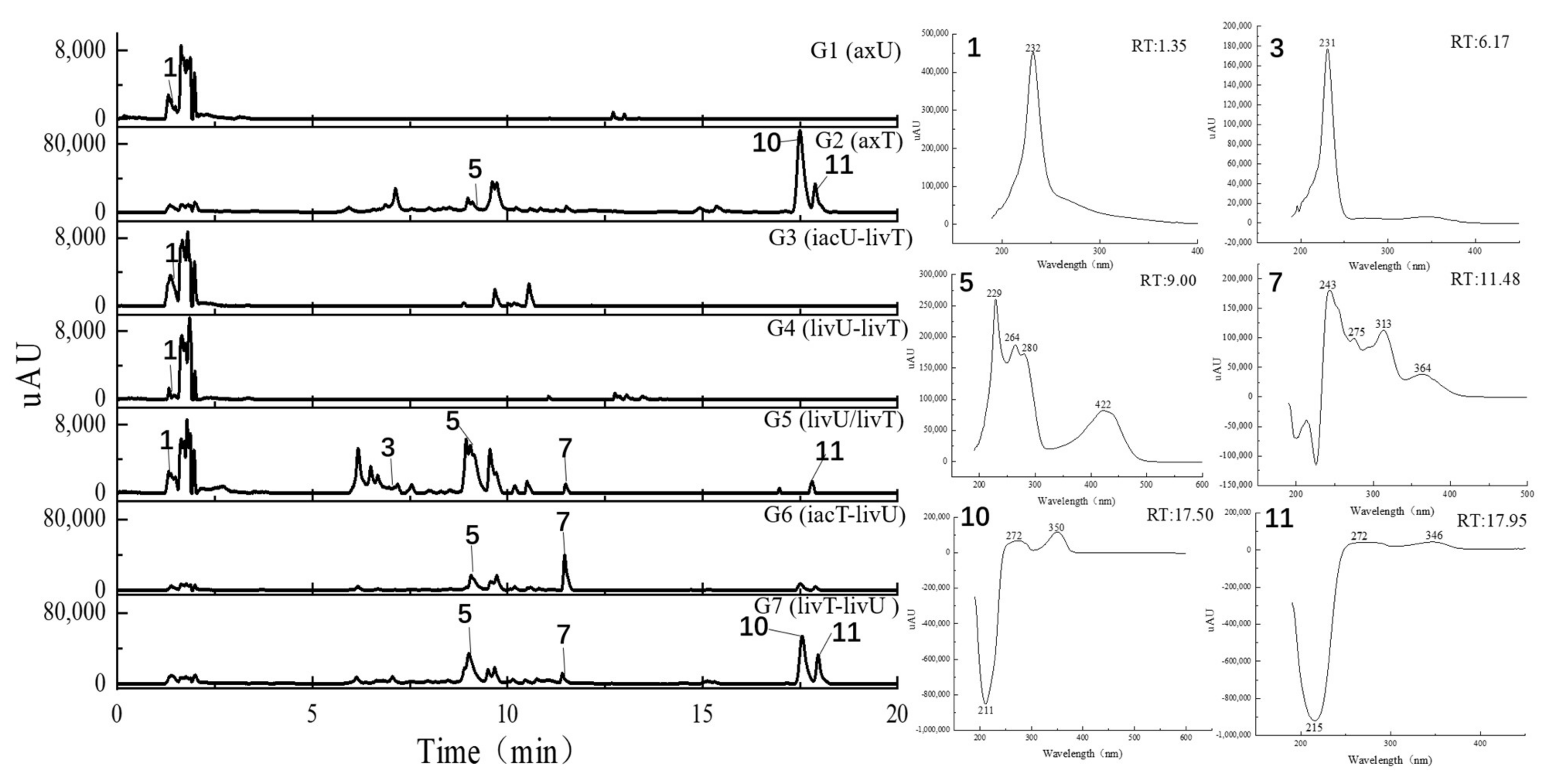 Antibiotics 11 00513 g005