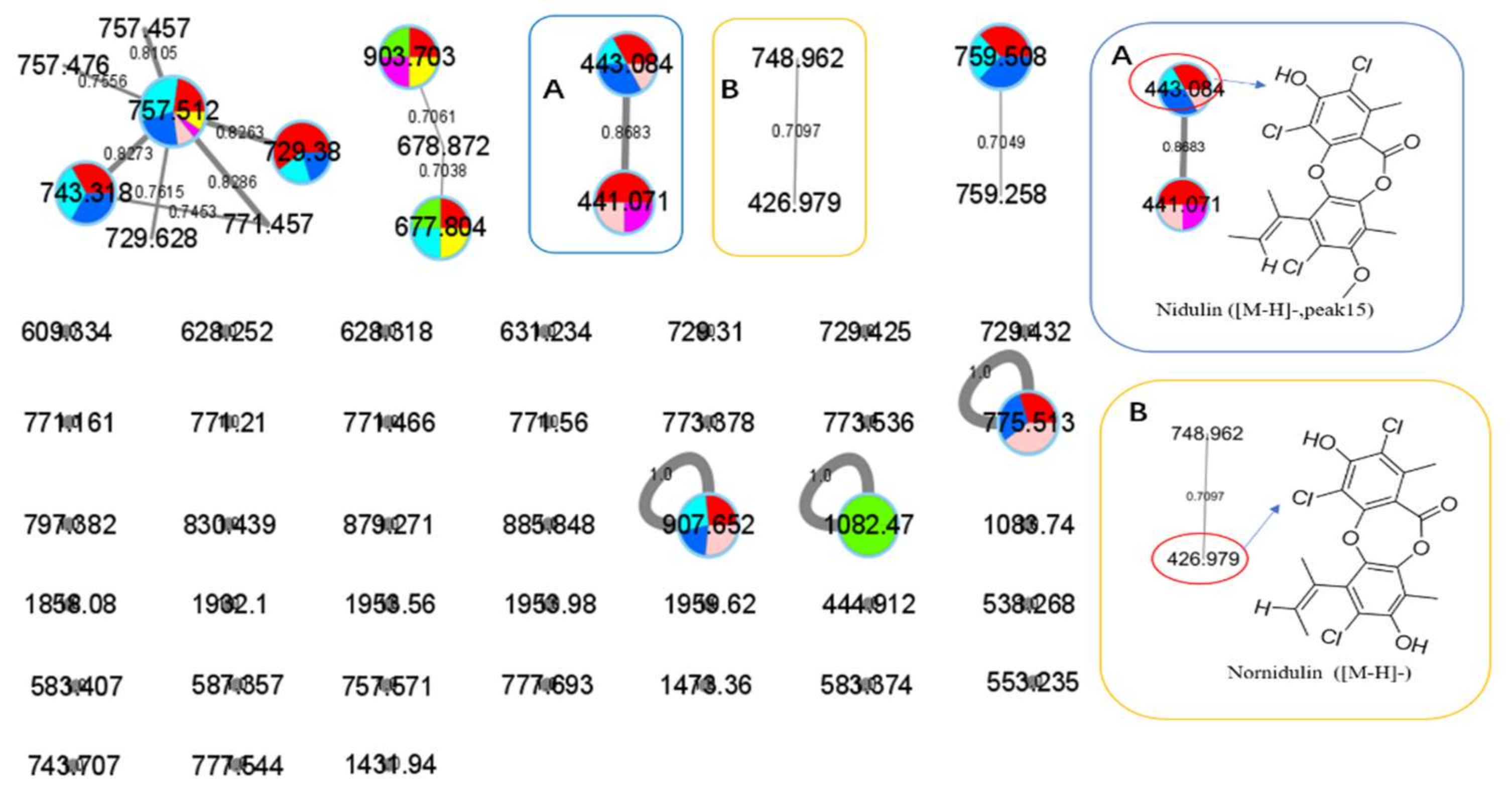 Antibiotics 11 00513 g010
