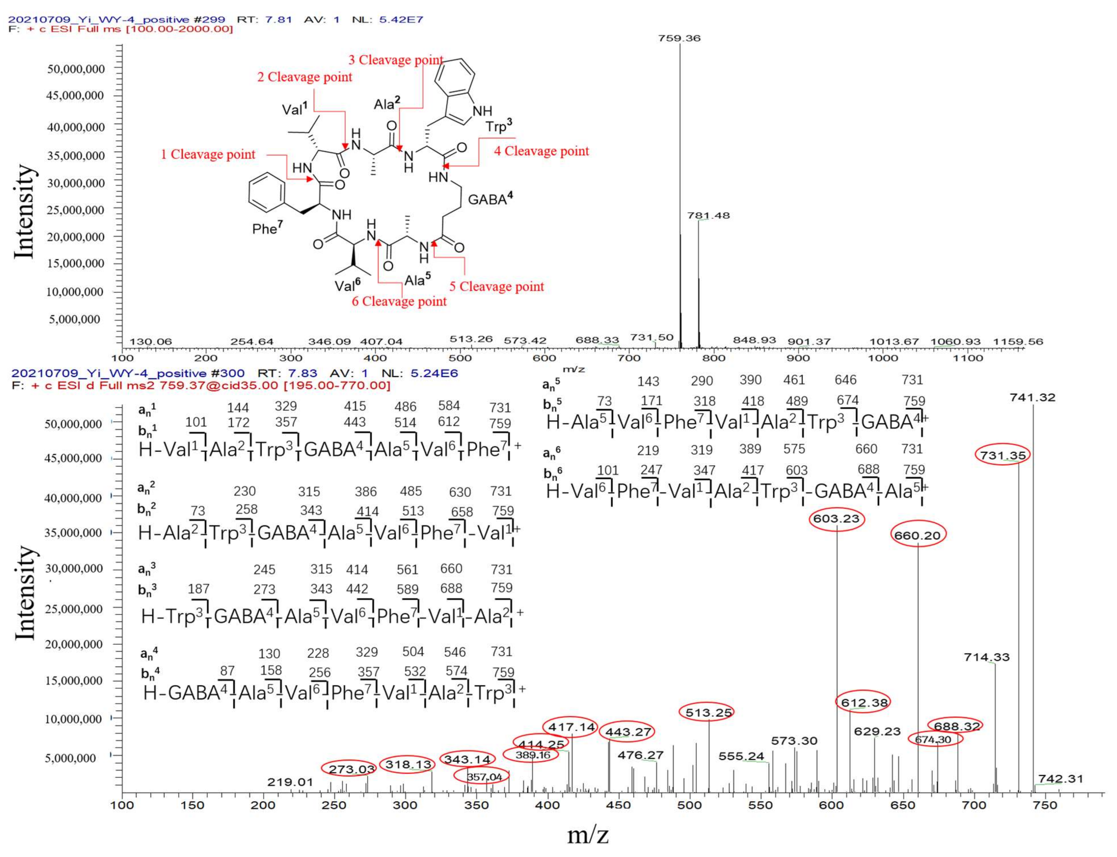 Antibiotics 11 00513 g011