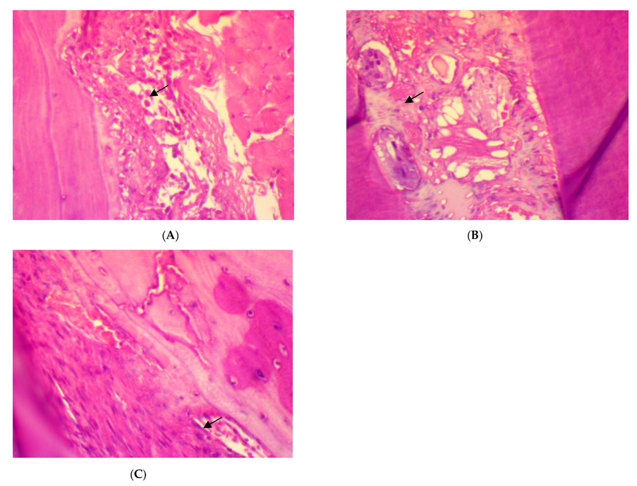 Antibiotics 11 00521 g002 550