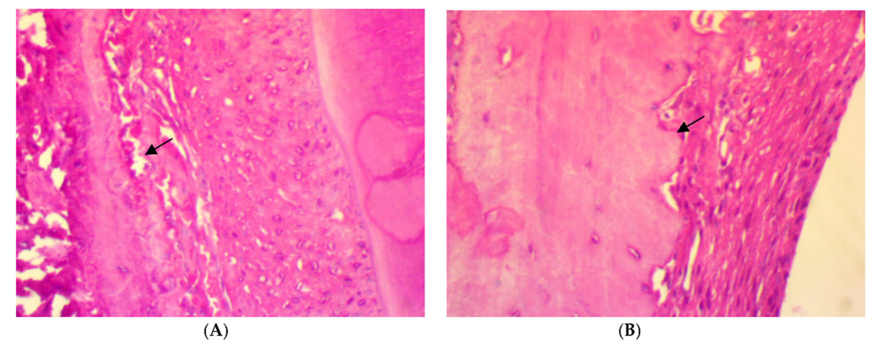 Antibiotics 11 00521 g003a 550