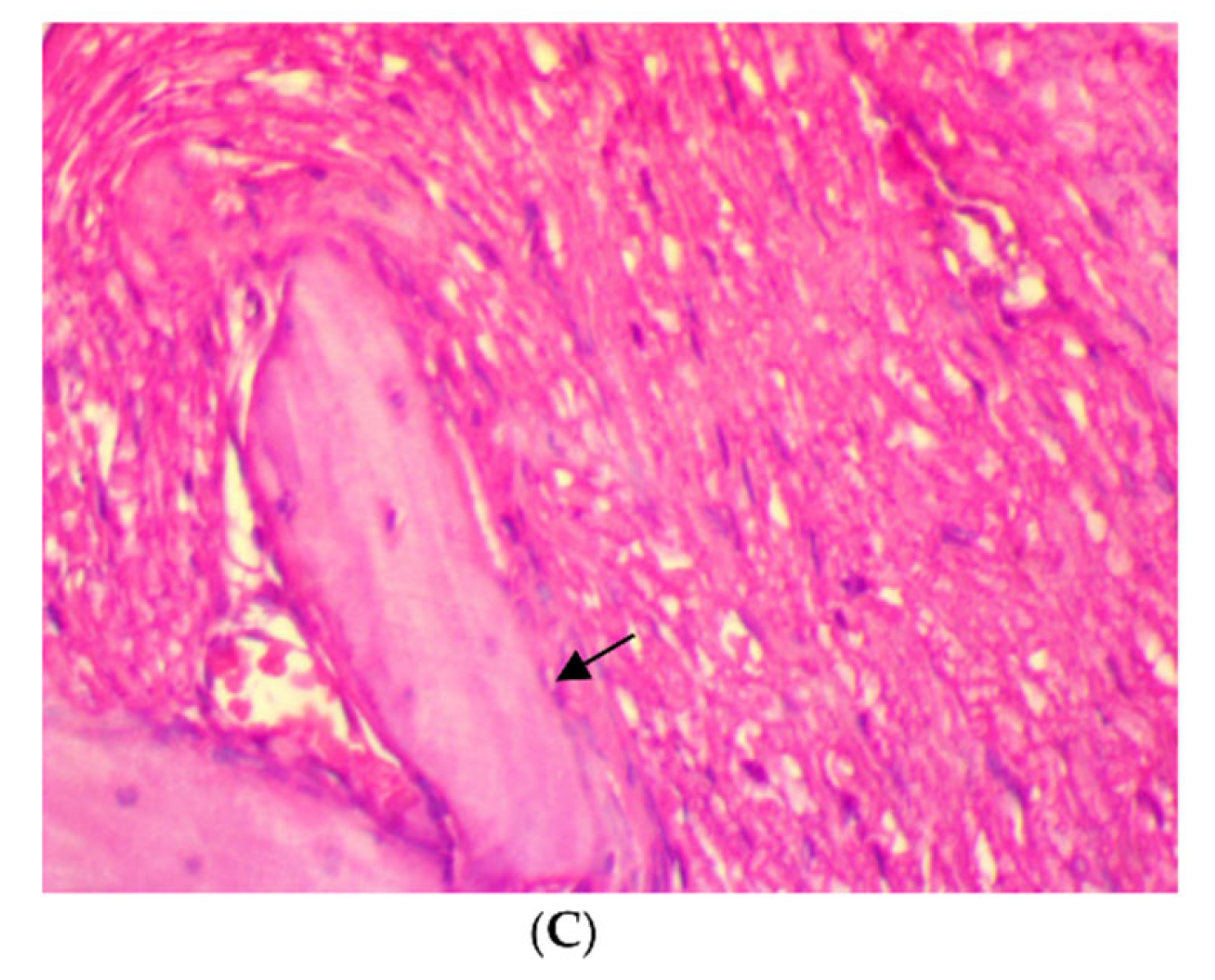 Antibiotics 11 00521 g003b 550