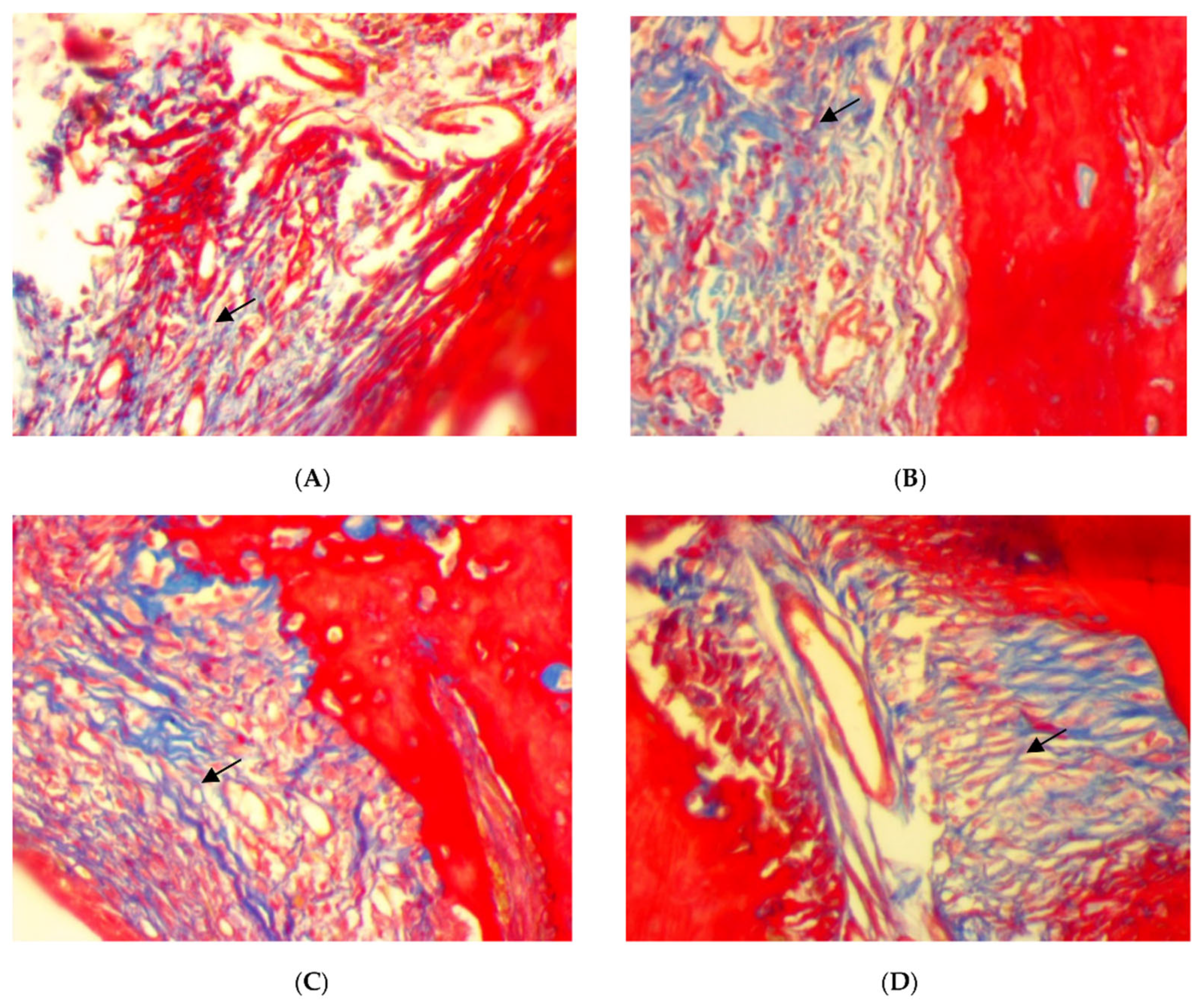 Antibiotics 11 00521 g004 550