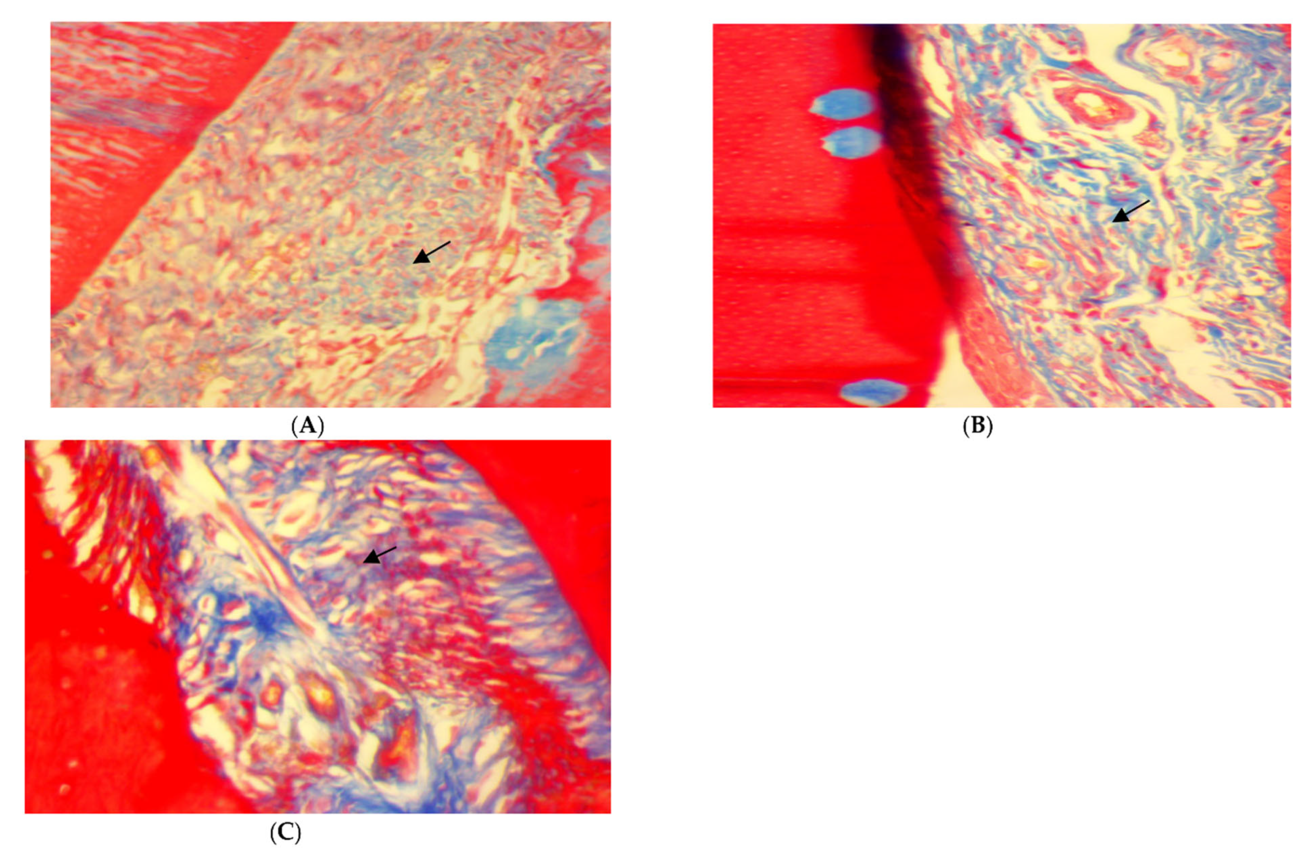 Antibiotics 11 00521 g005 550