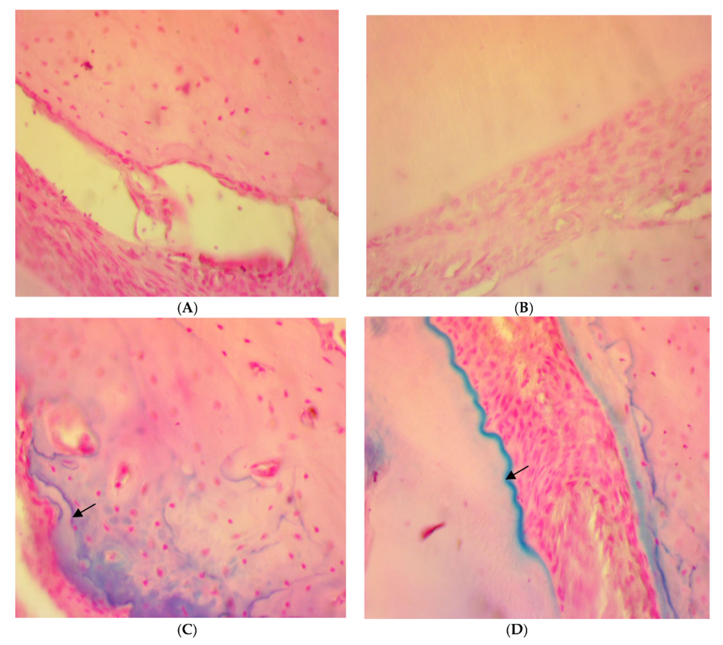 Antibiotics 11 00521 g006 550