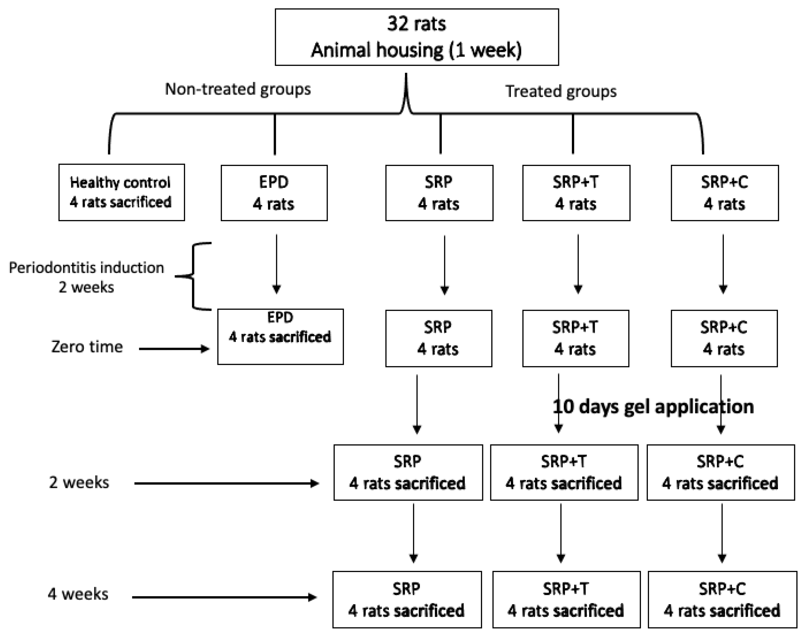 Antibiotics 11 00521 g007 550