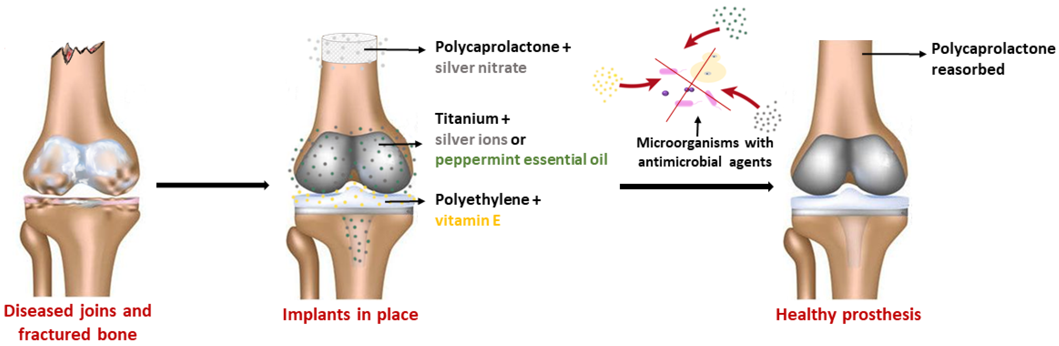 Antibiotics 11 00529 g002