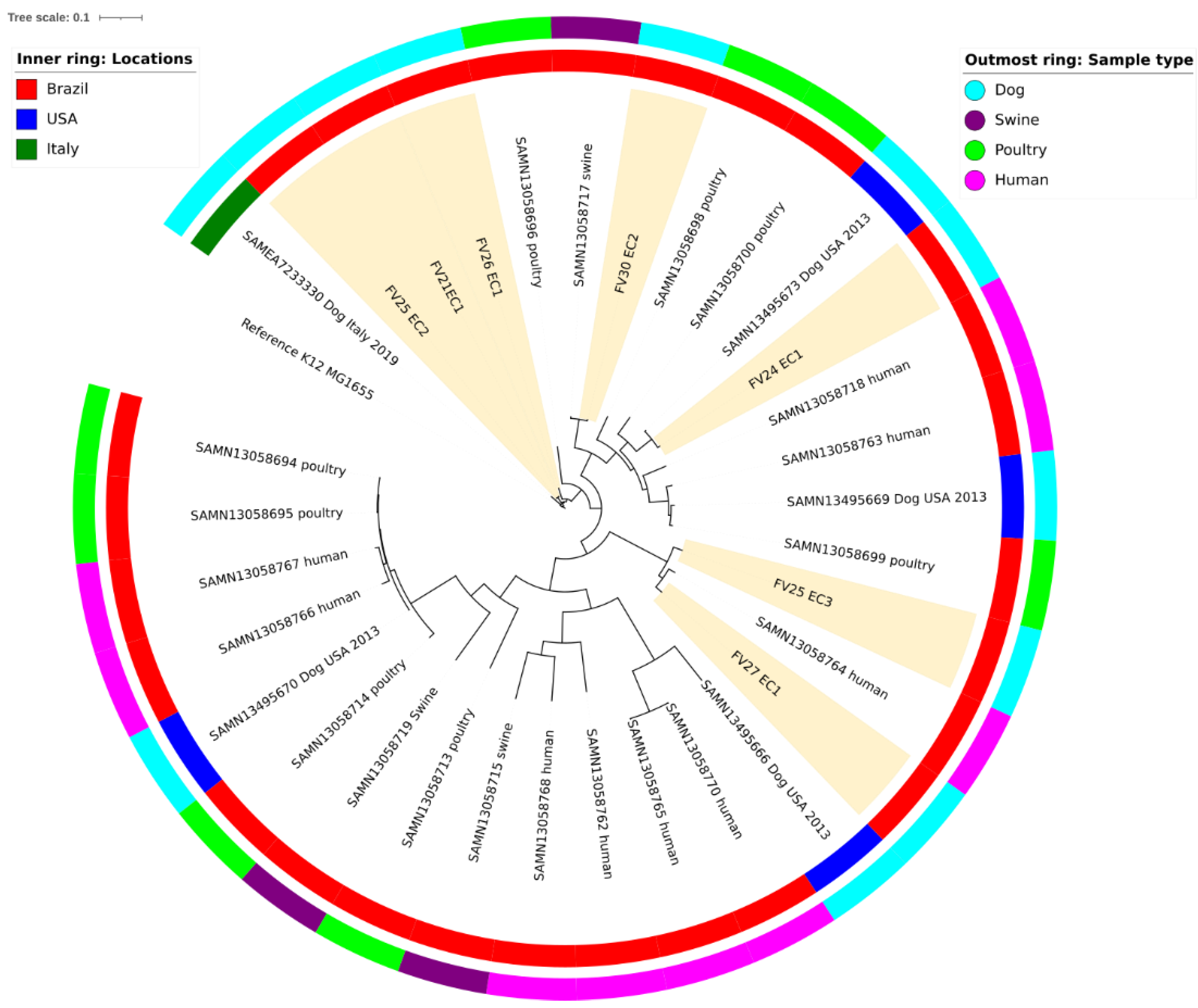 Antibiotics 11 00534 g003 Antibiotics 11 00534 g003