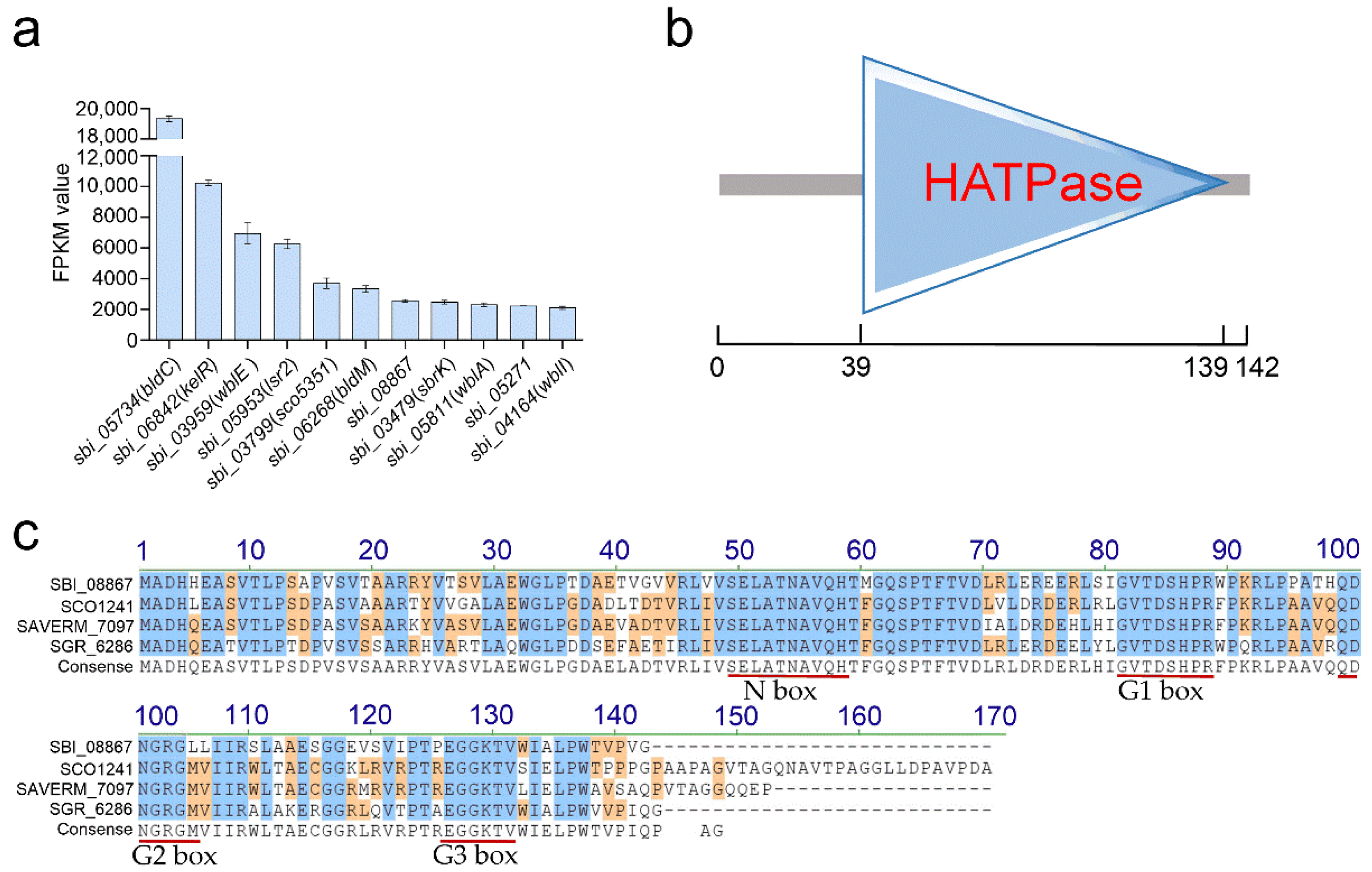 Antibiotics 11 00538 g001