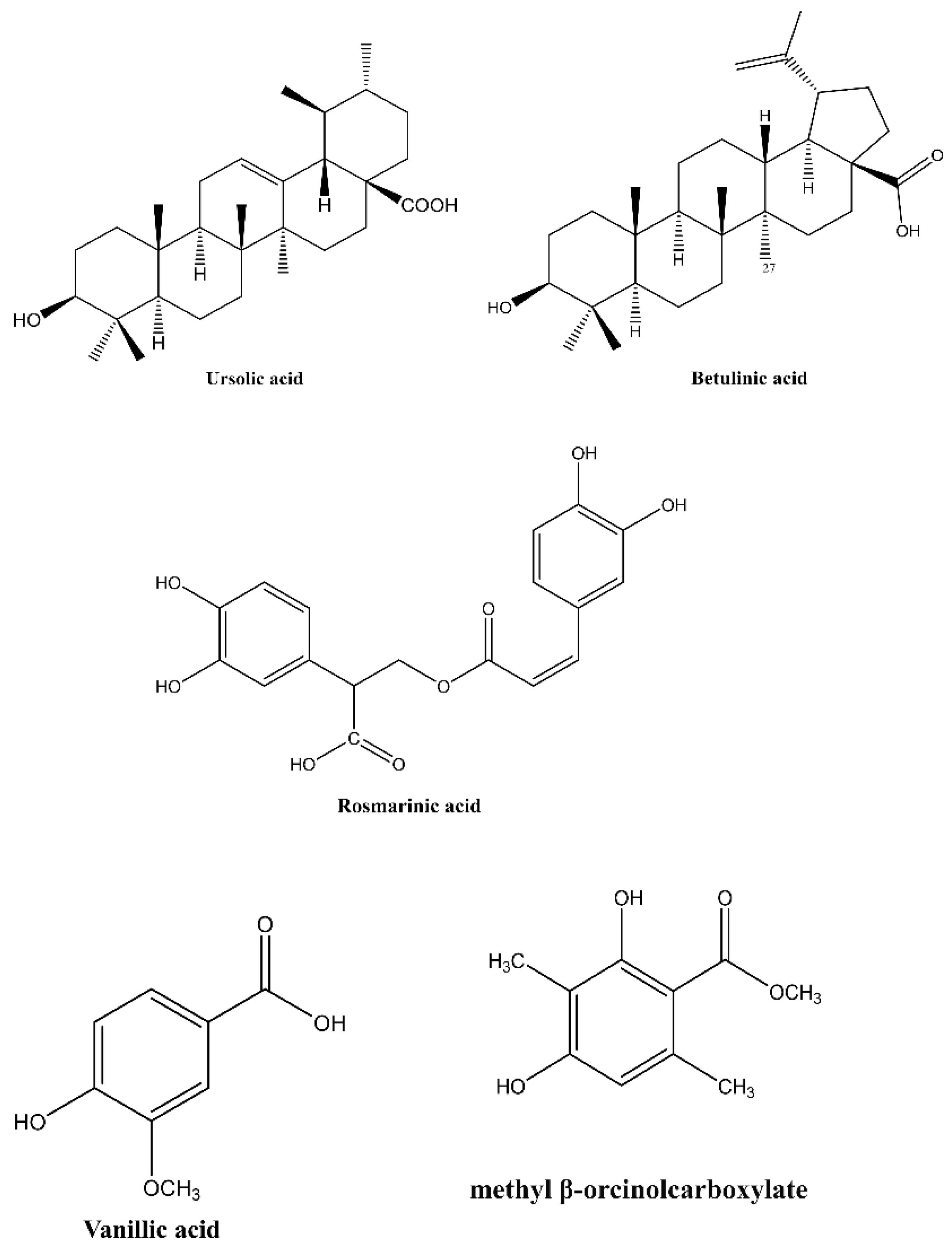 Antibiotics 11 00539 g004 550